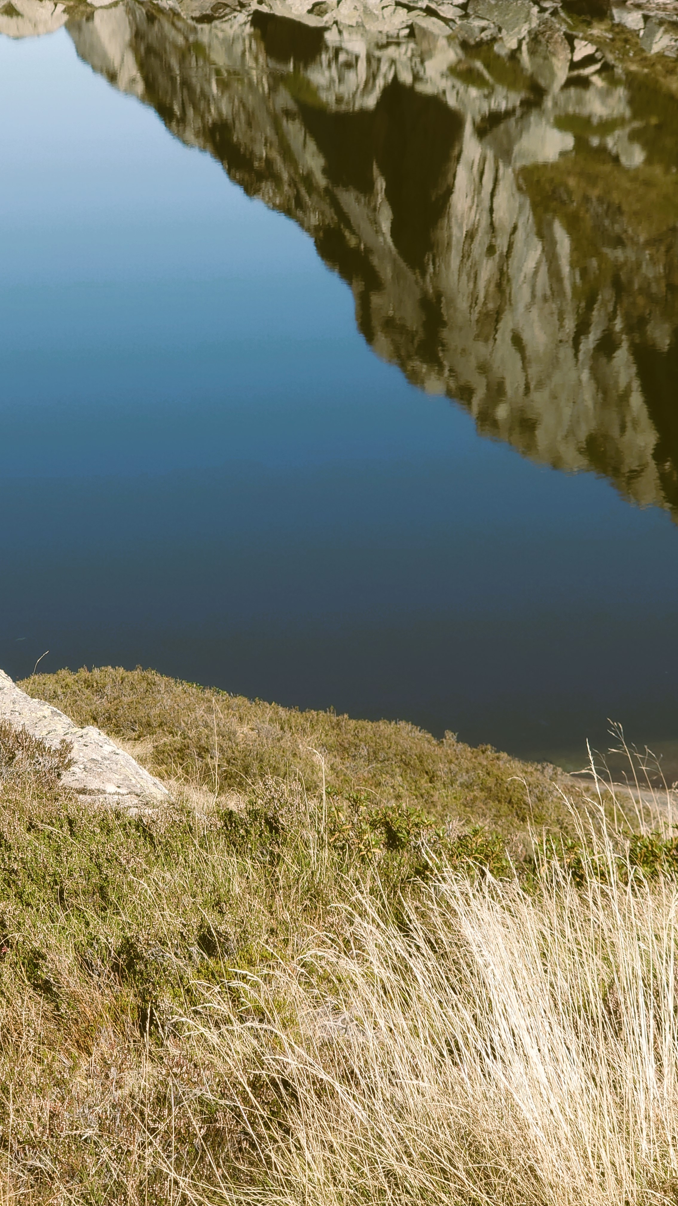 Atelier topobois reflets lacs