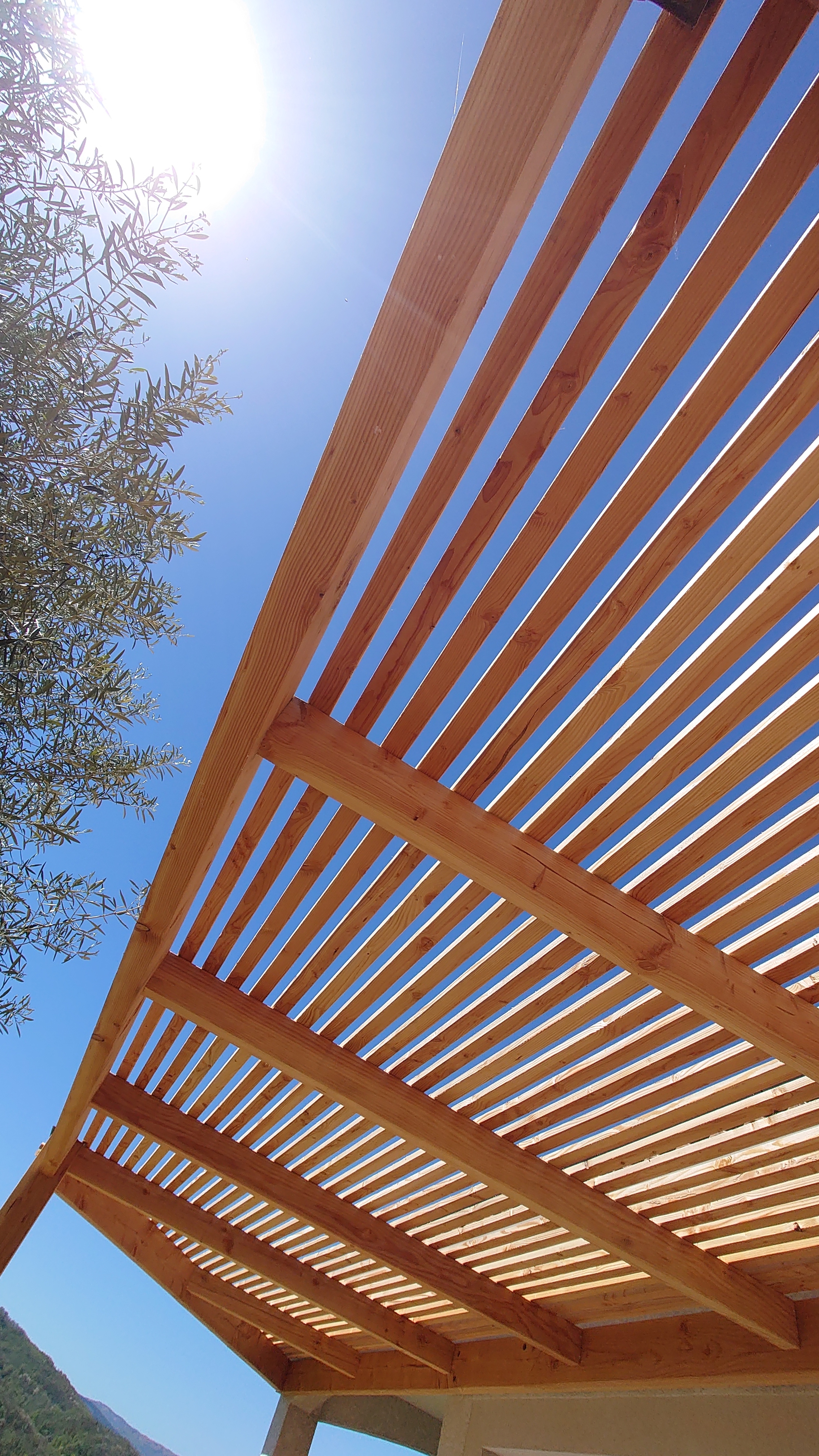 Atelier topobois pool house patio ombrage