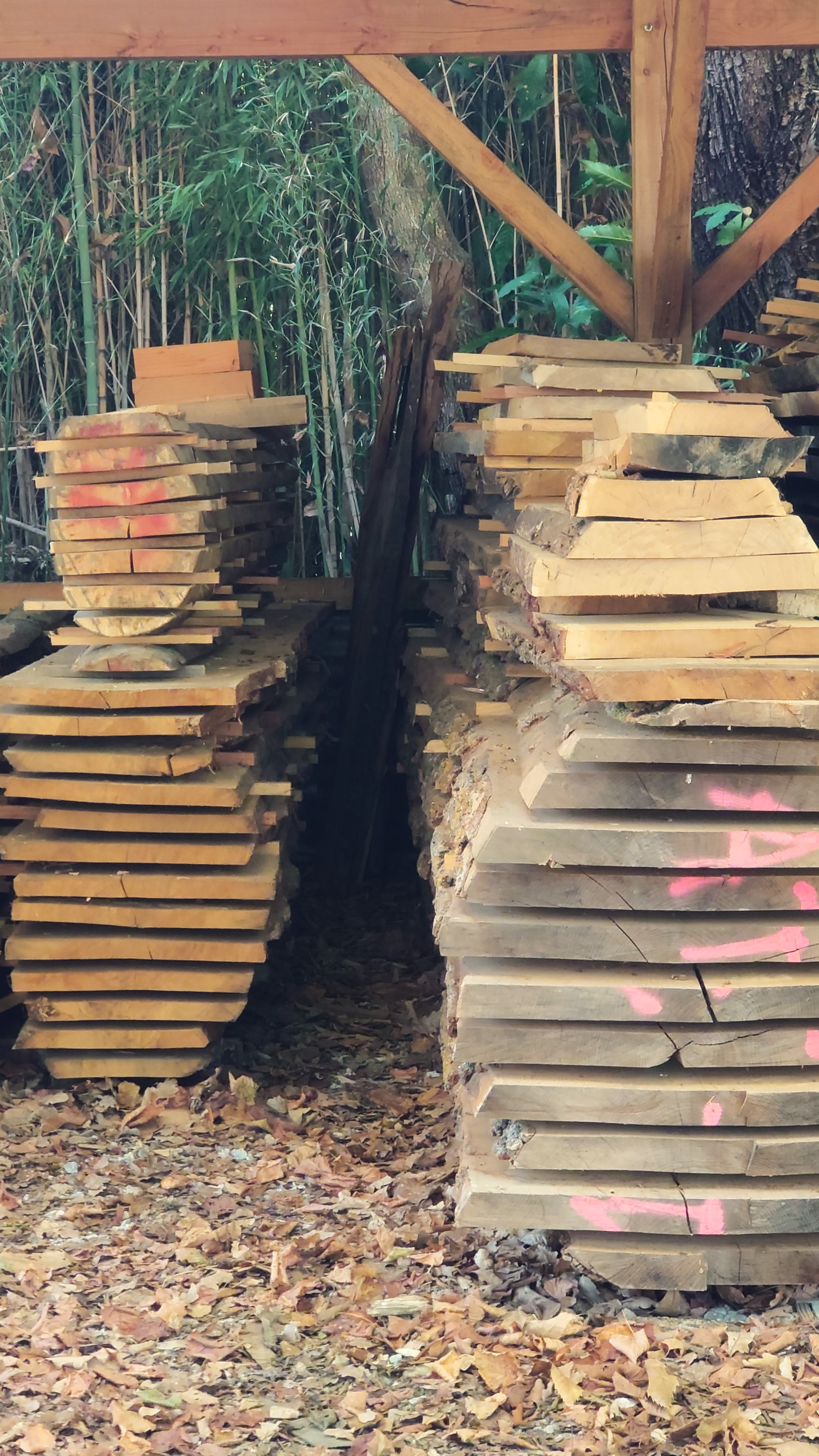 Atelier topobois plots bruts