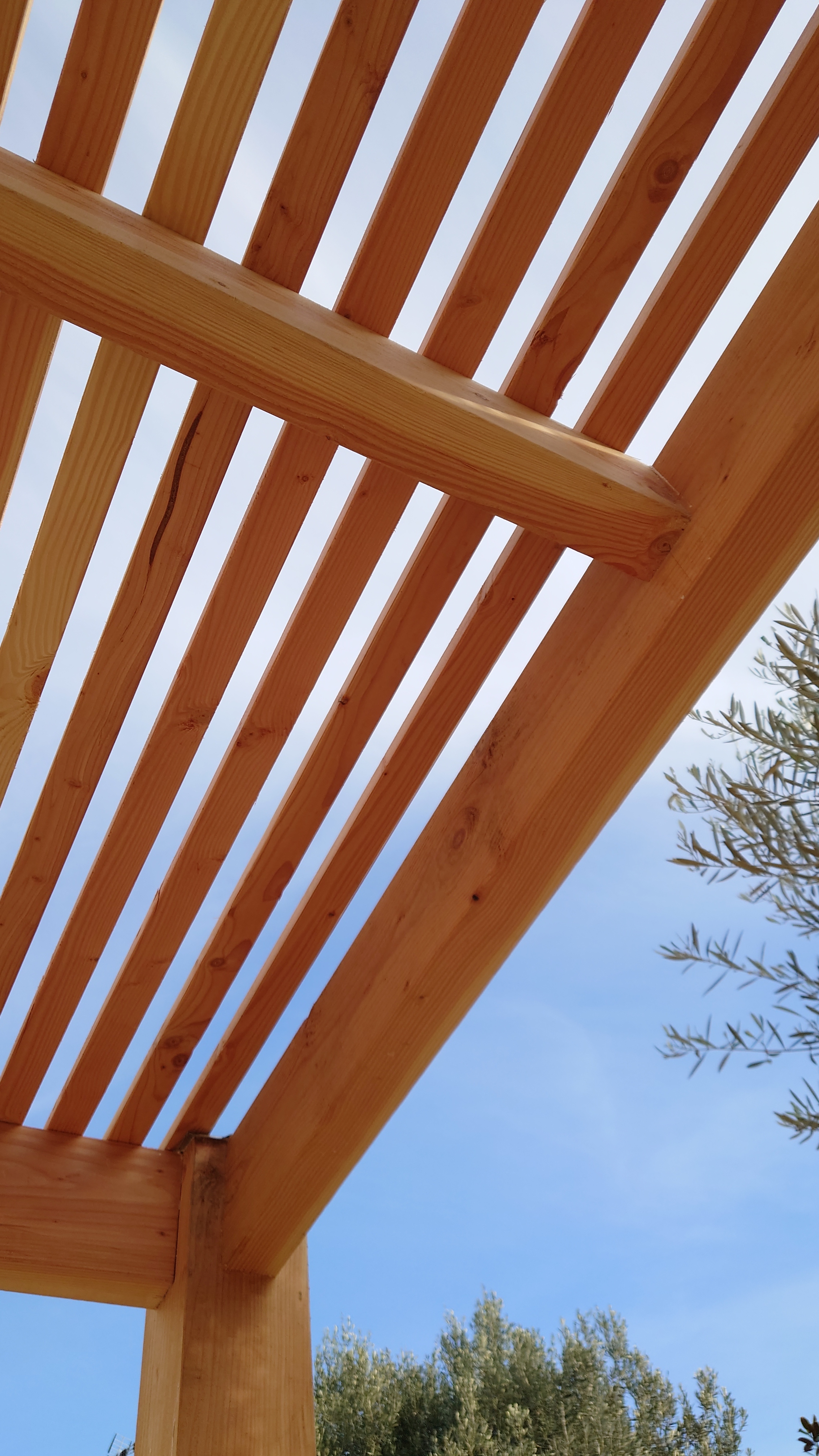 Atelier topobois pergola douglas claire voie