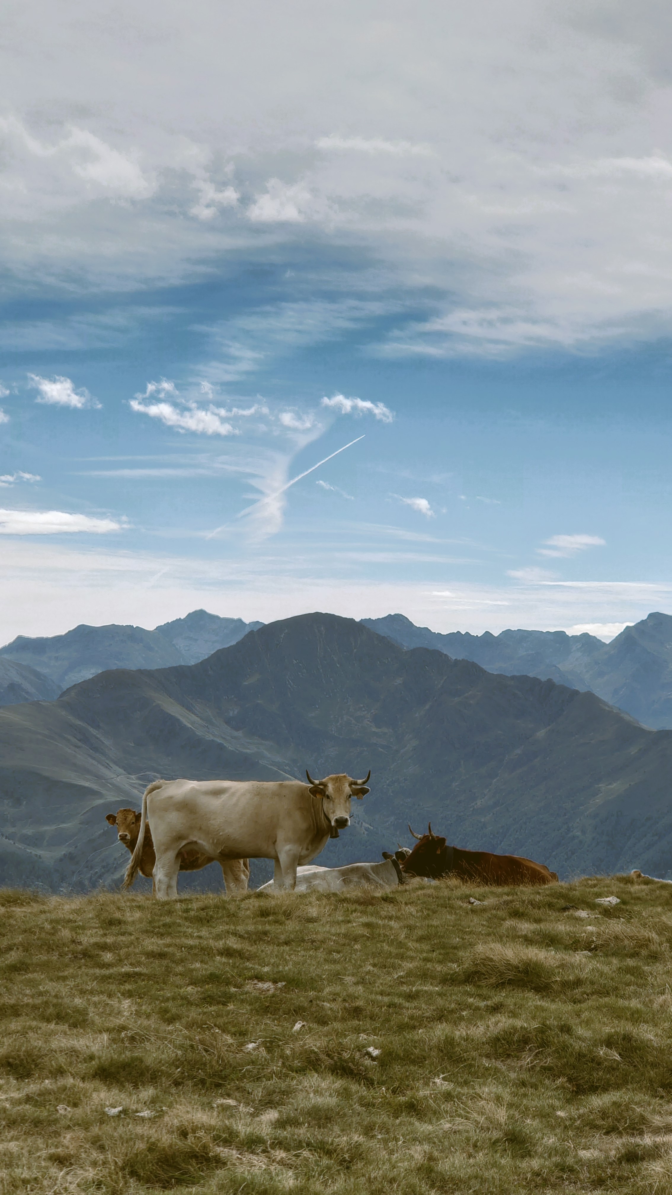 Atelier topobois paysage pyrenees