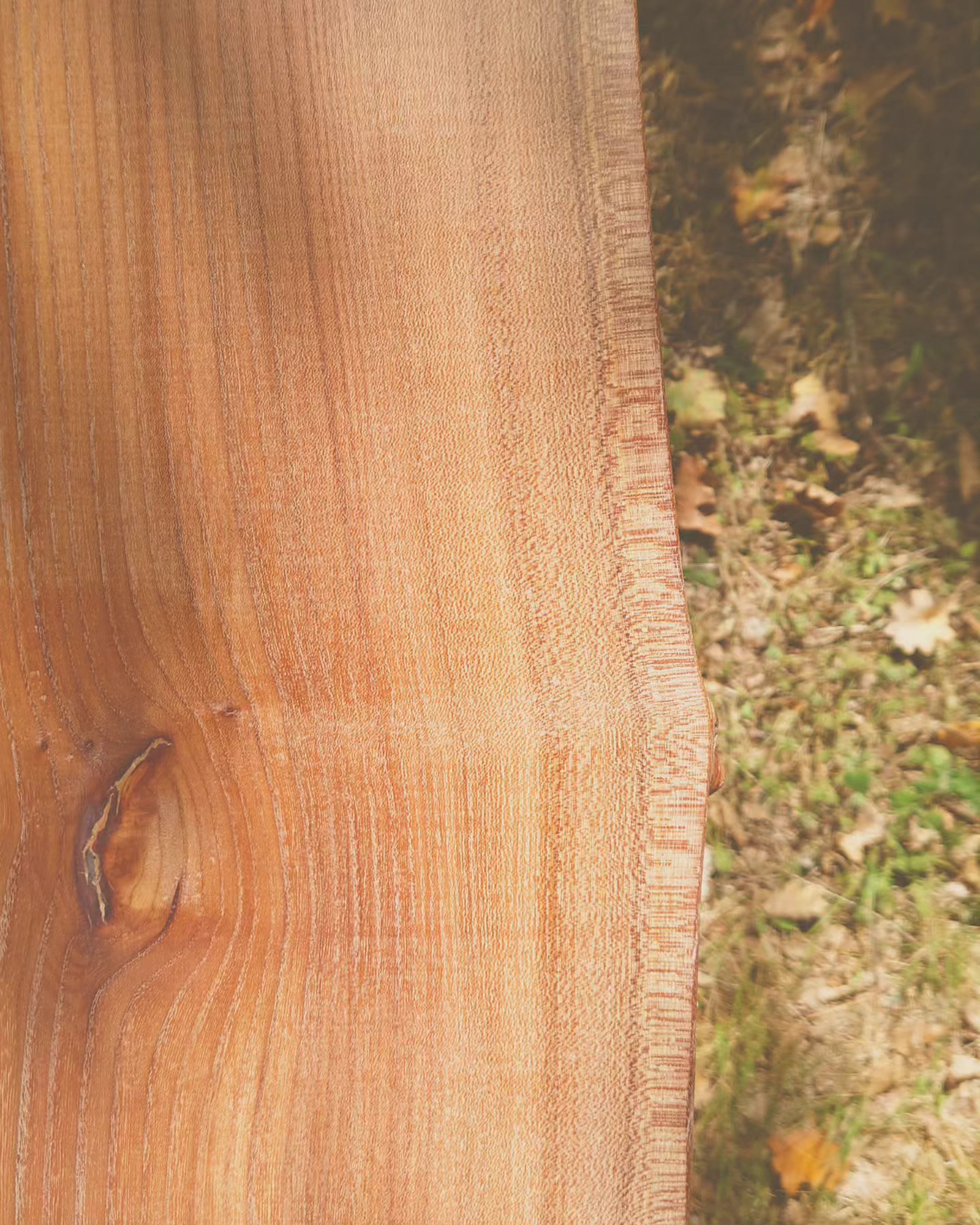 Atelier topobois orme live edge