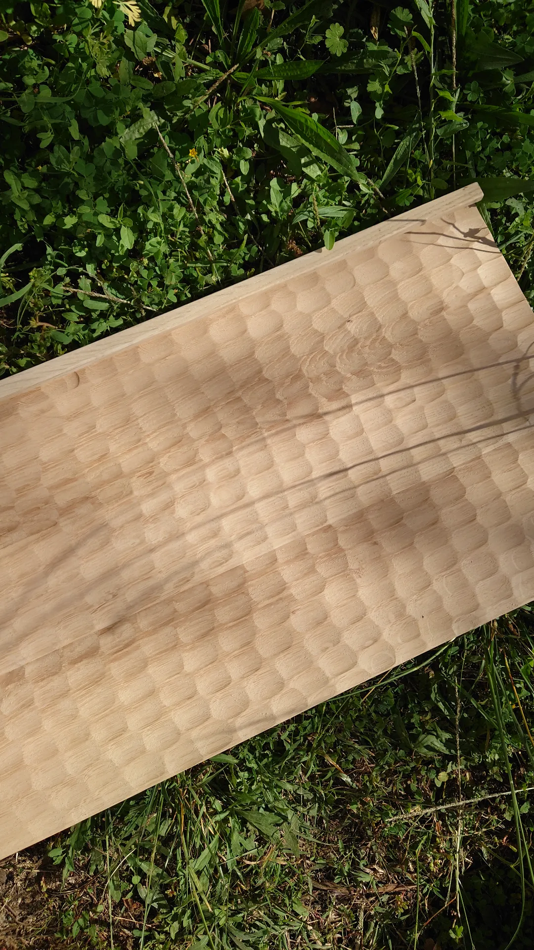 Atelier topobois naguri patern facade pharmacie