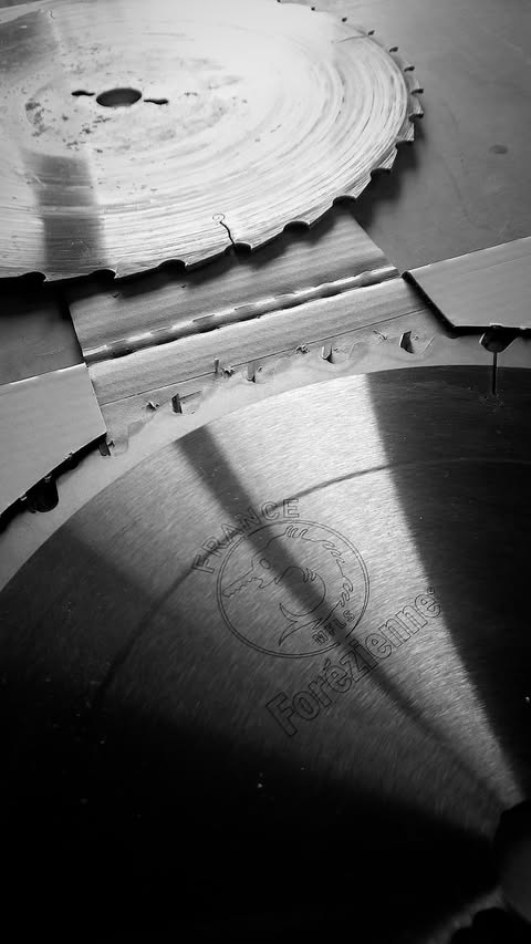 Atelier topobois lames scies la forezienne