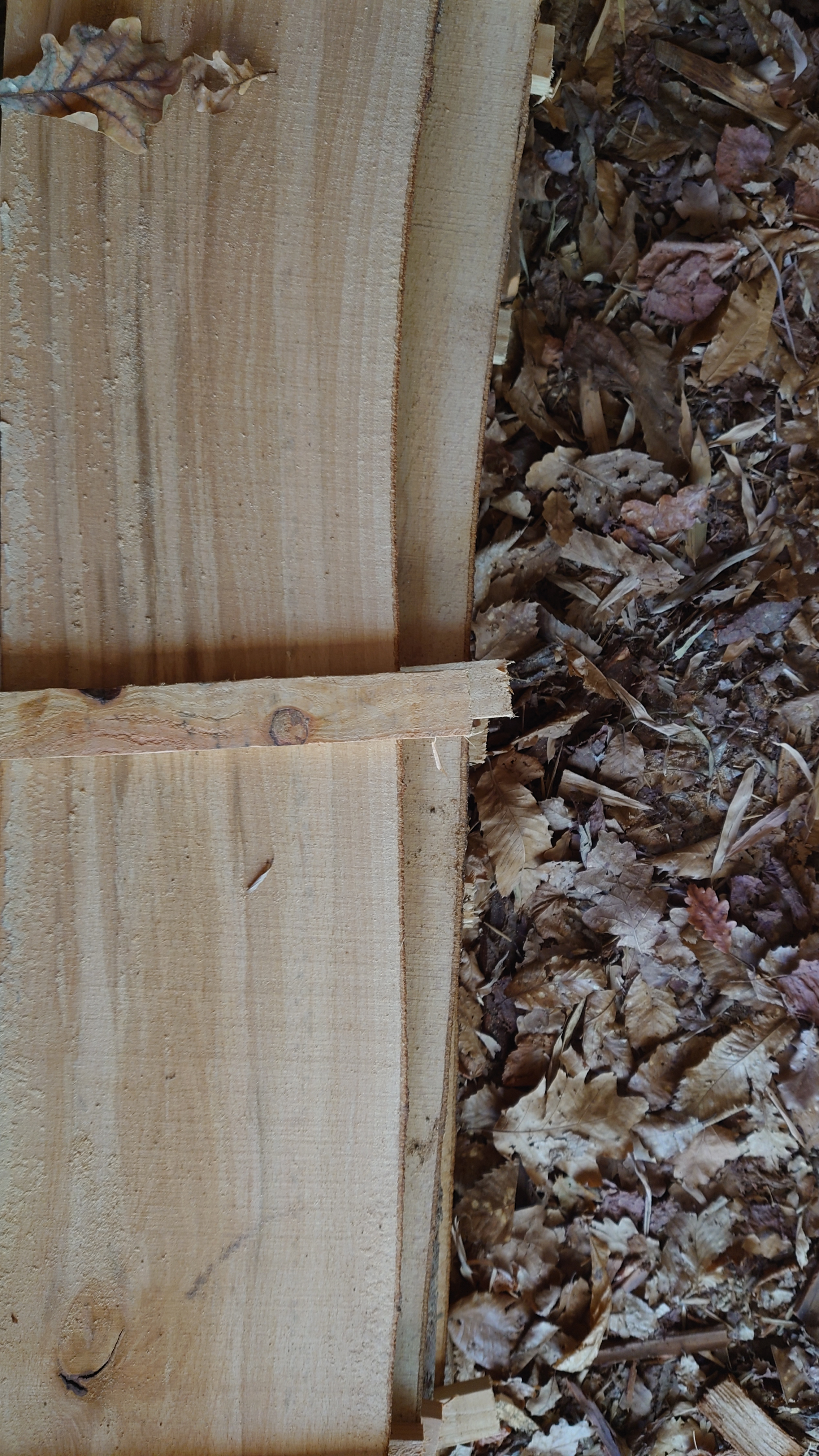 Atelier topobois hetre echauffe stock