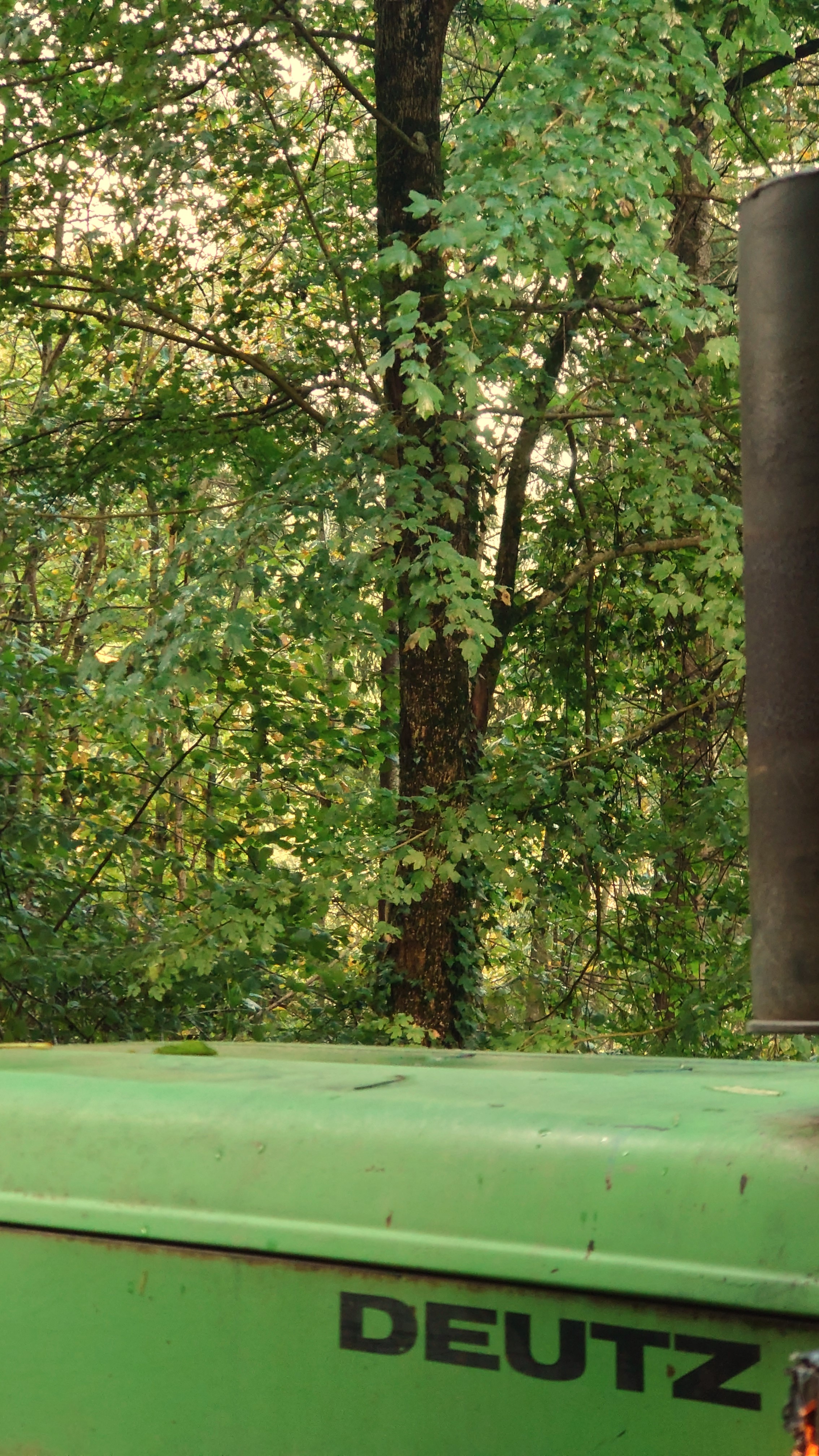 Atelier topobois groupement forestier loubens