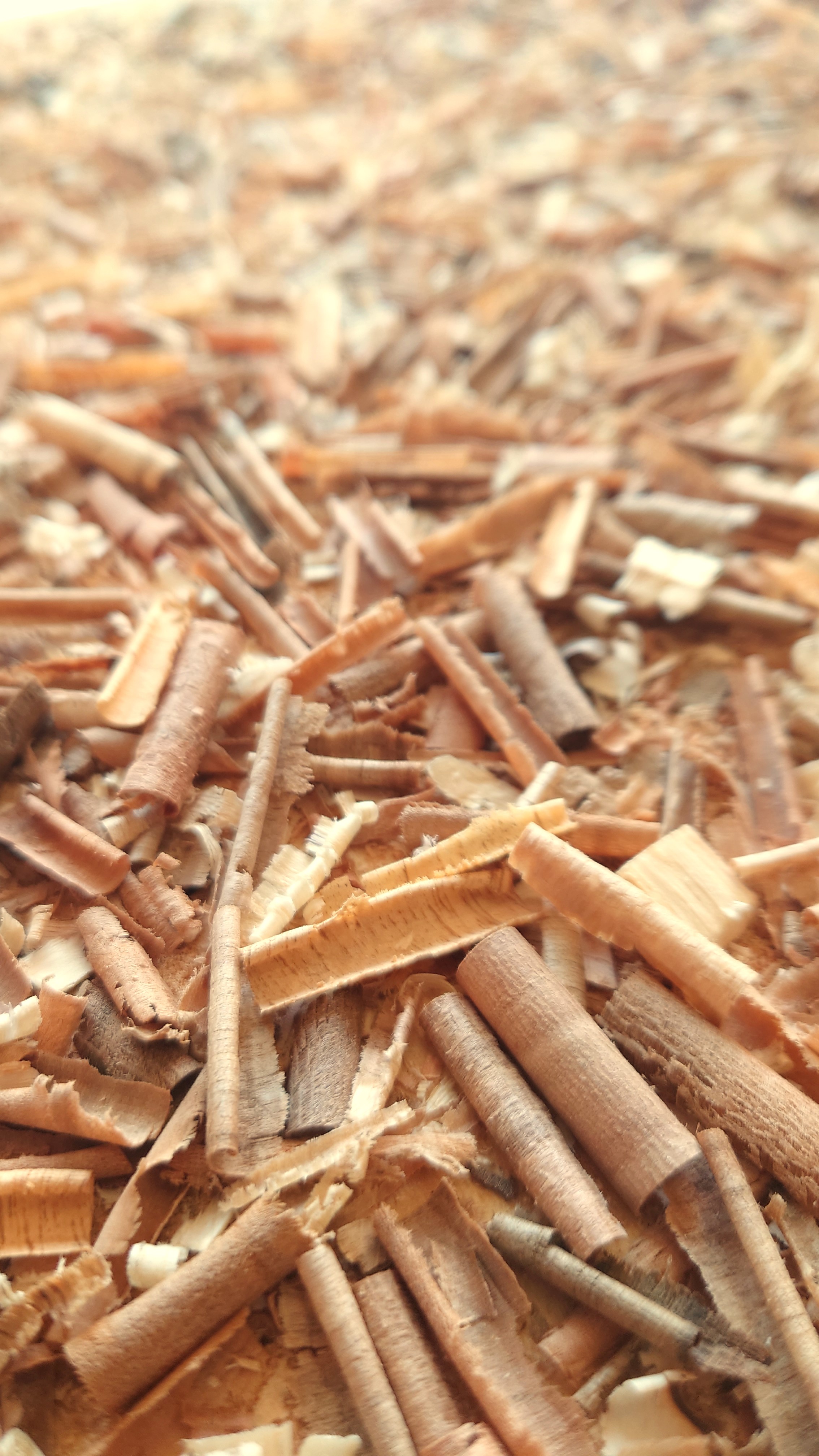 Atelier topobois copeaux