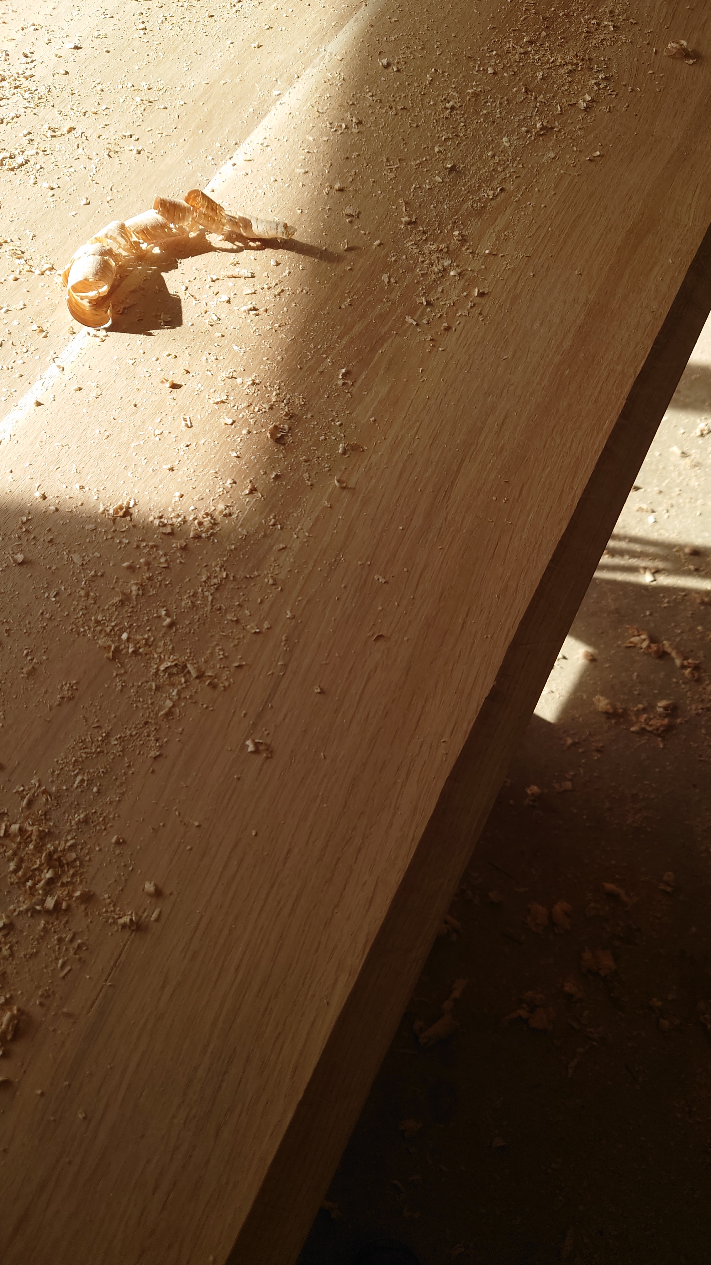 Atelier topobois copeau vastringue plane