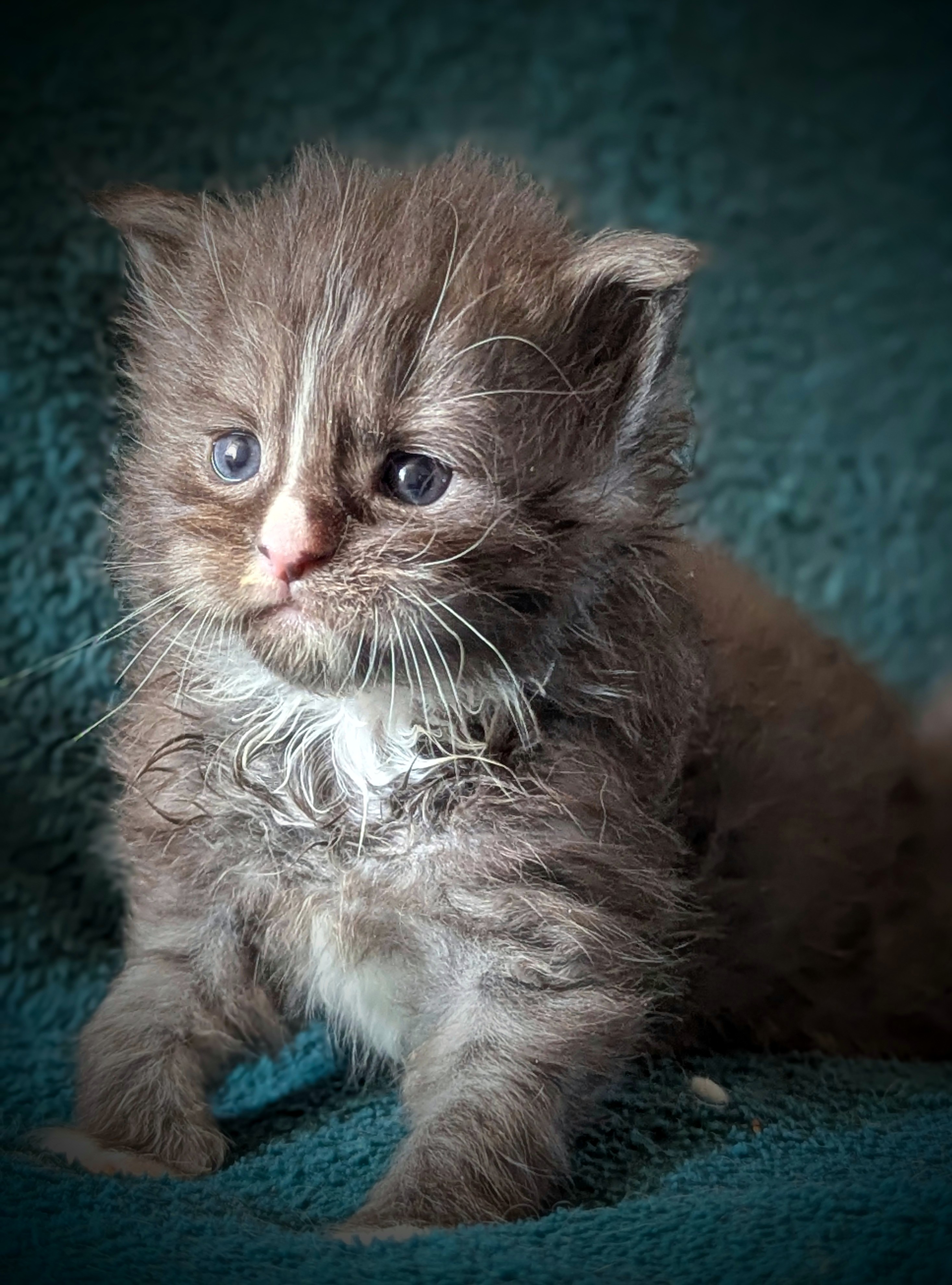 Pxl 20260320 102030165-portrait-2