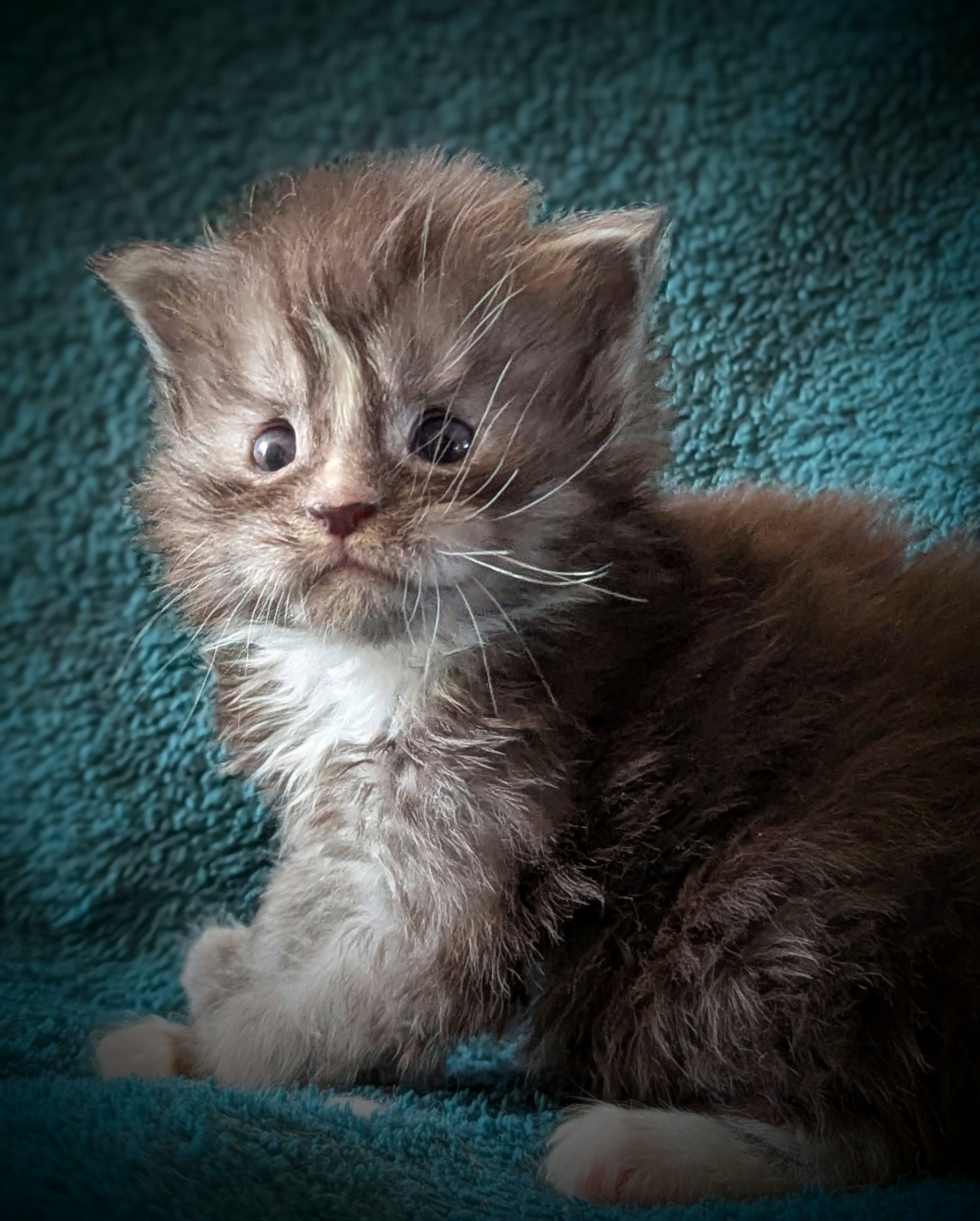 Pxl 20260320 101035220-portrait-2