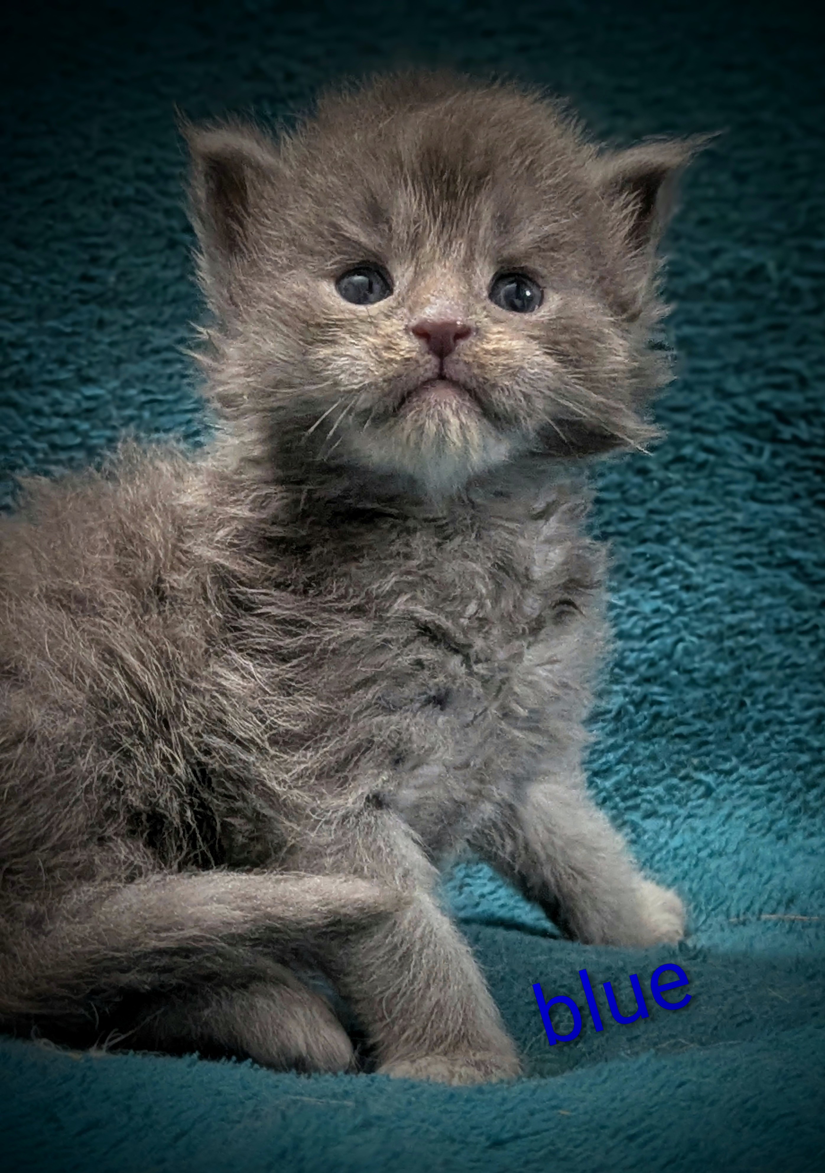 Pxl 20260319 185431972-portrait-2