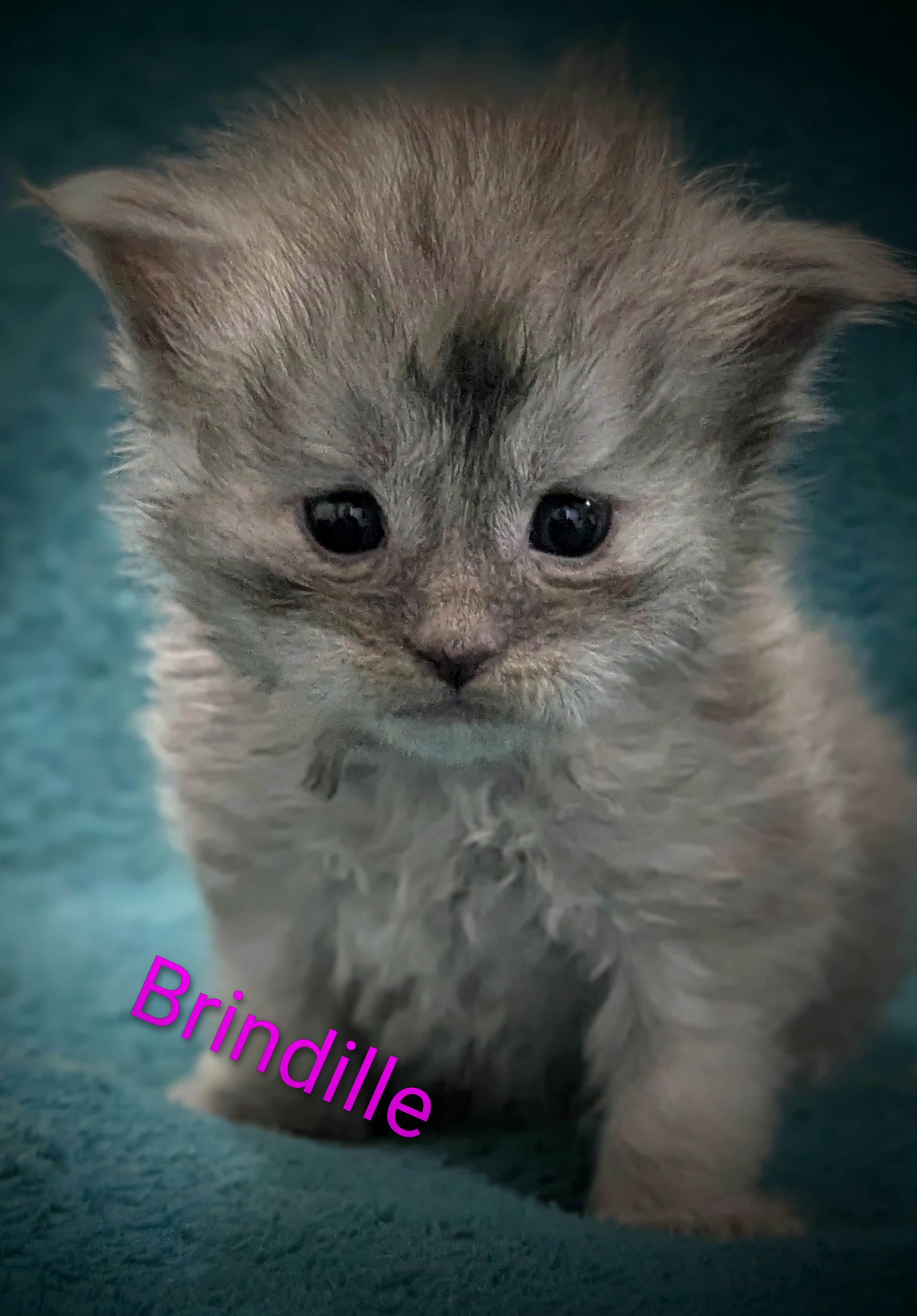 Pxl 20260319 185338318-portrait-2