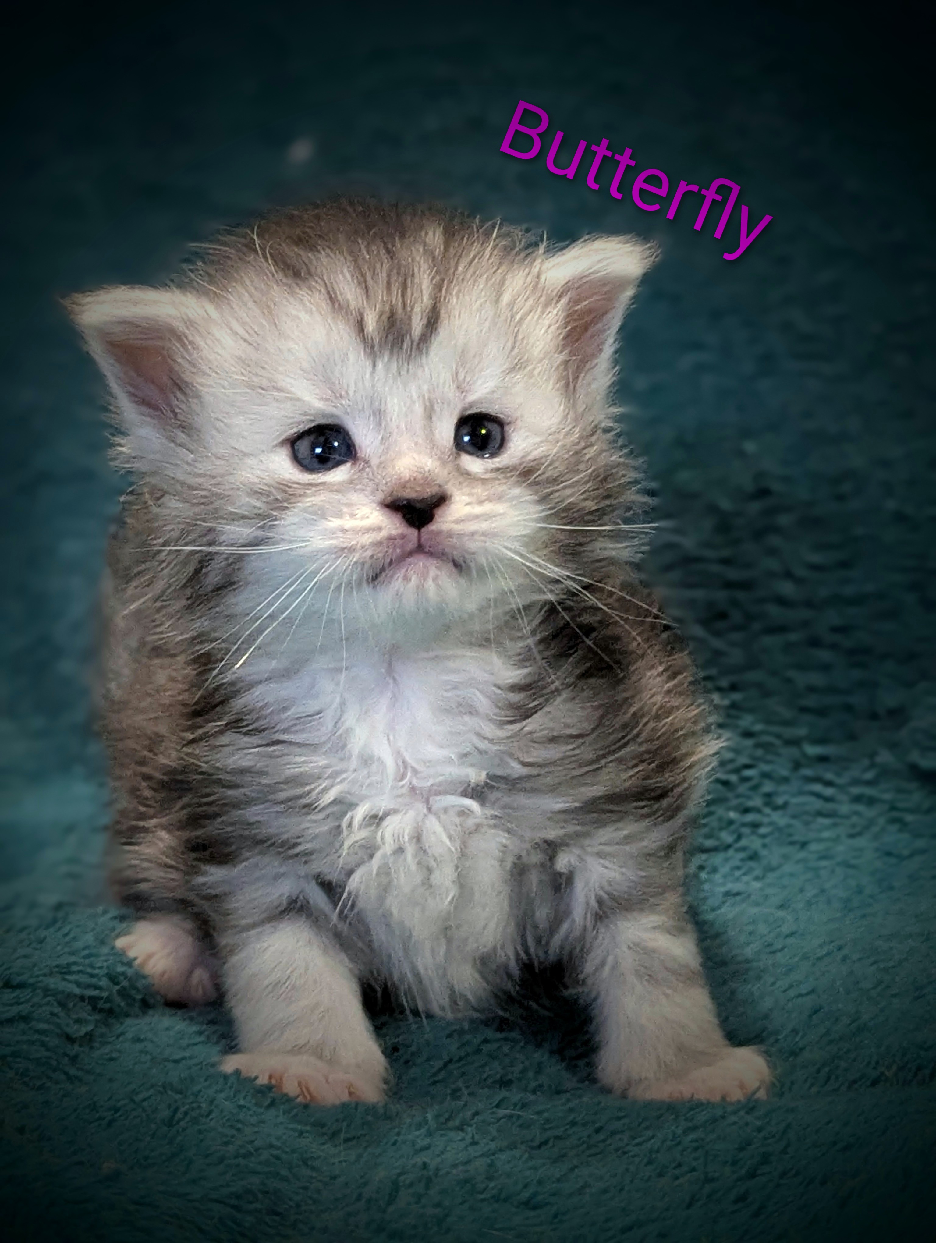 Pxl 20260319 184917170-portrait-2