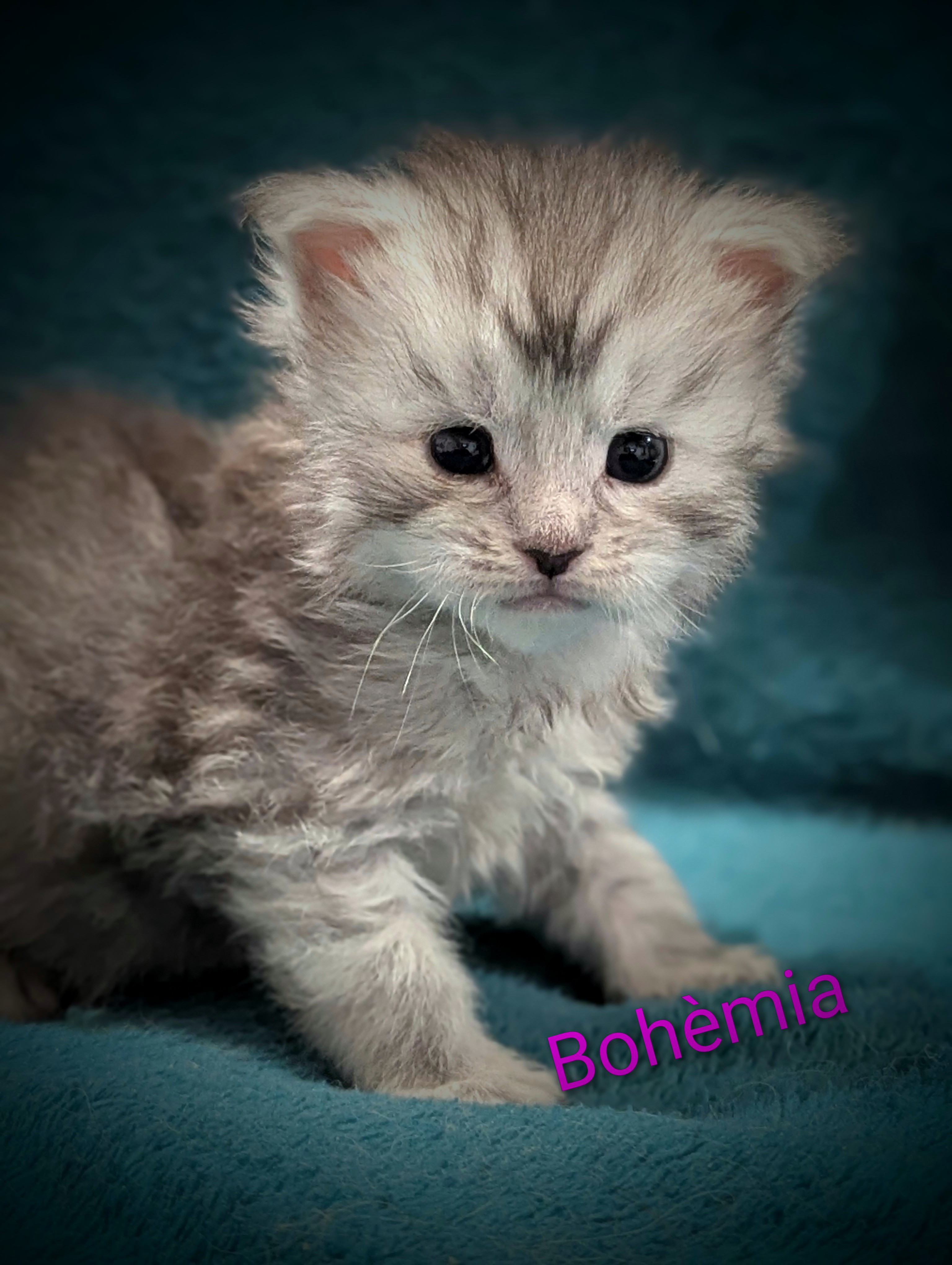 Pxl 20260319 184631092-portrait-3