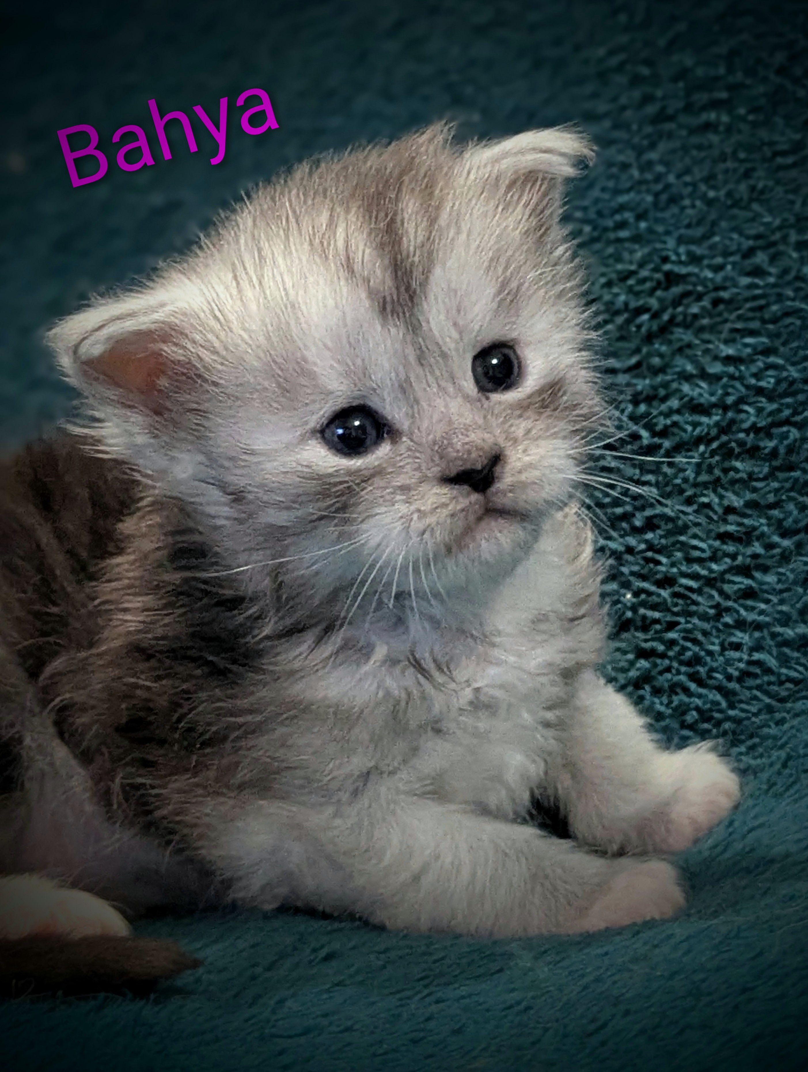 Pxl 20260319 184208272-portrait-2