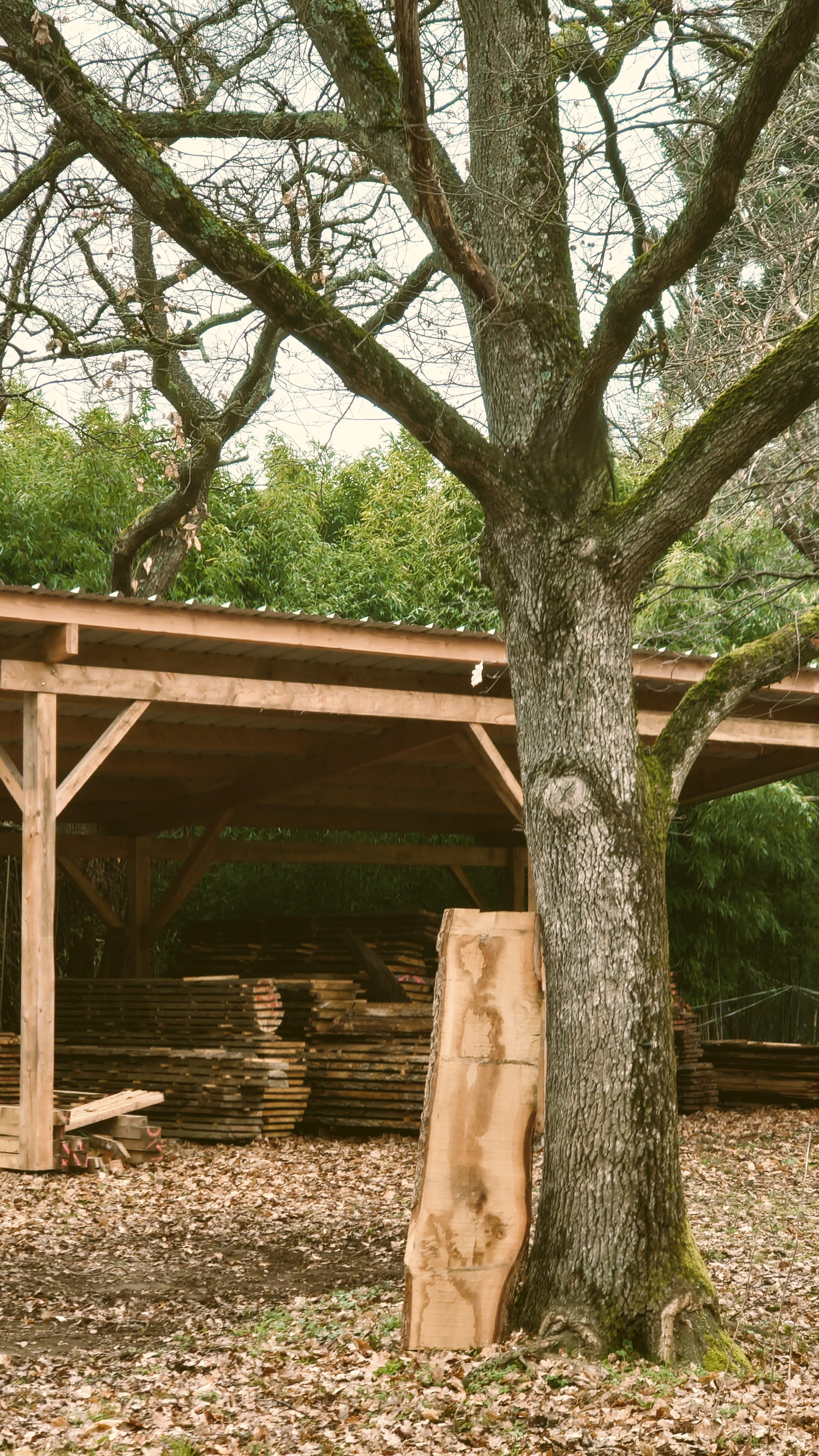 Atelier Topobois-Stock-Matiere-Brute