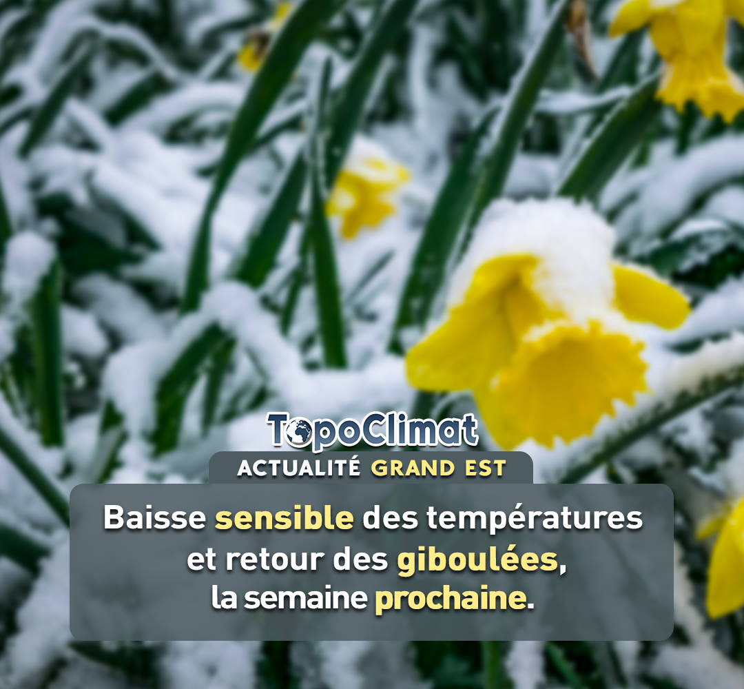 Région : Baisse sensible des températures et giboulées la semaine prochaine.