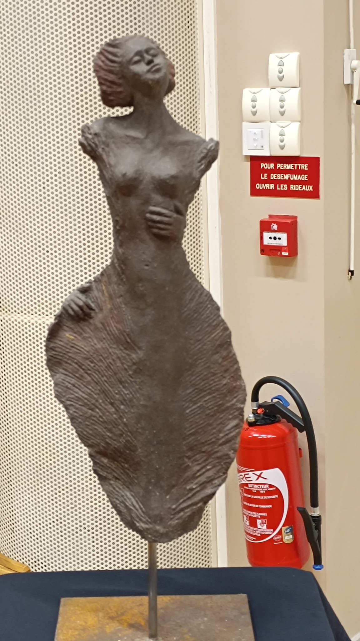 Martin 3506216193443239745