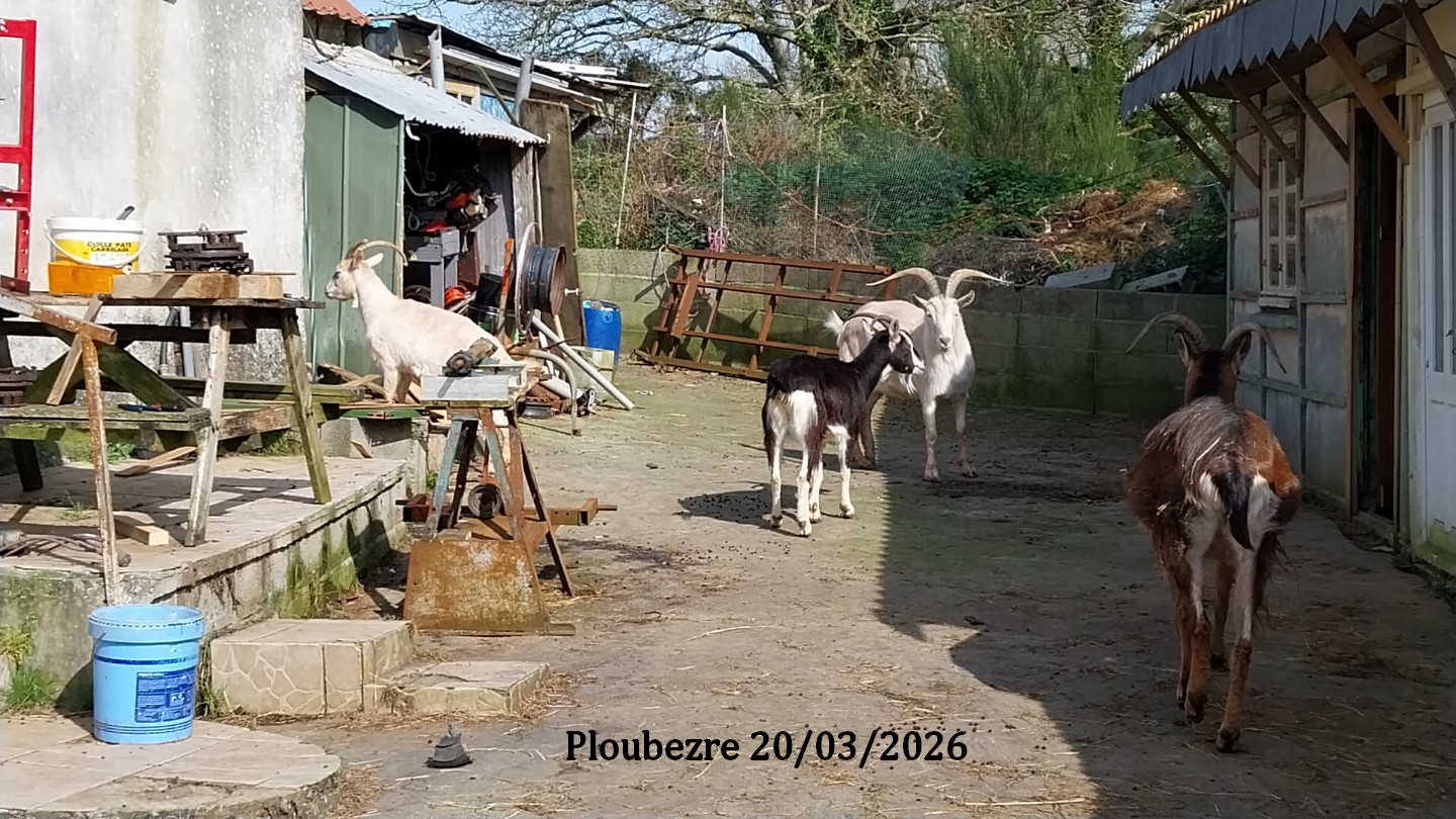 2026 03 20 ploubezre 1 