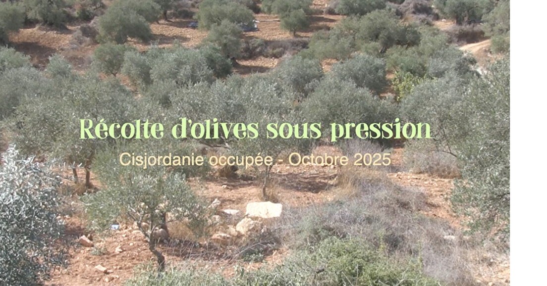 Assemblée Générale avec projection de film