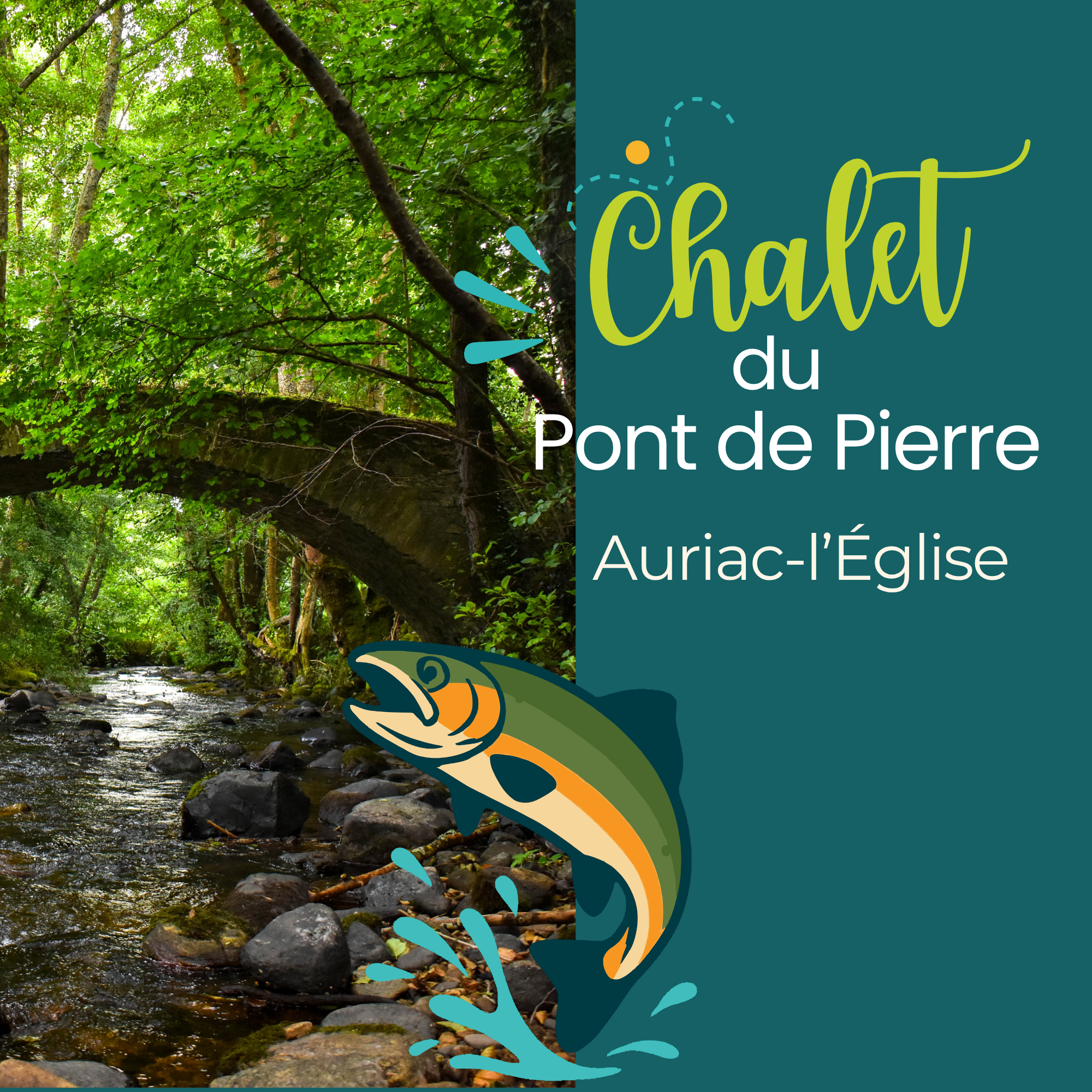 location de chalets au camping de la Sianne , cantal, auvergne, nature