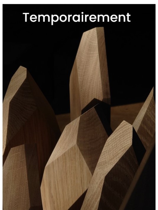 ZCapture-d-ecran-2026-01-29-105419