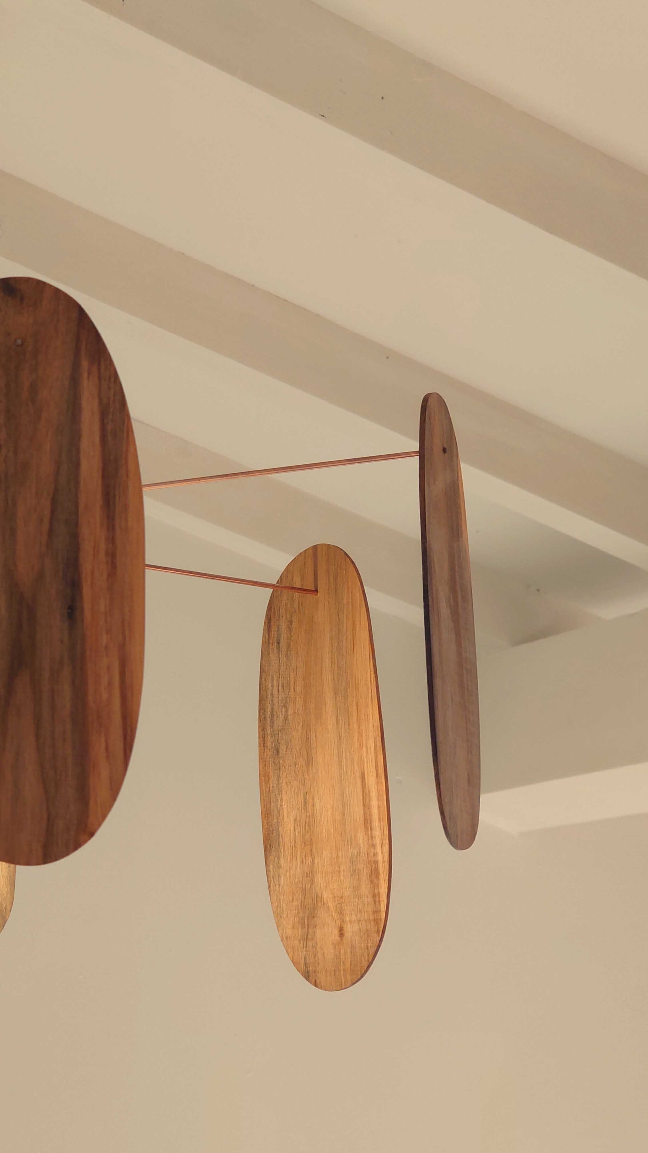 Atelier topobois-rabassoles-pales