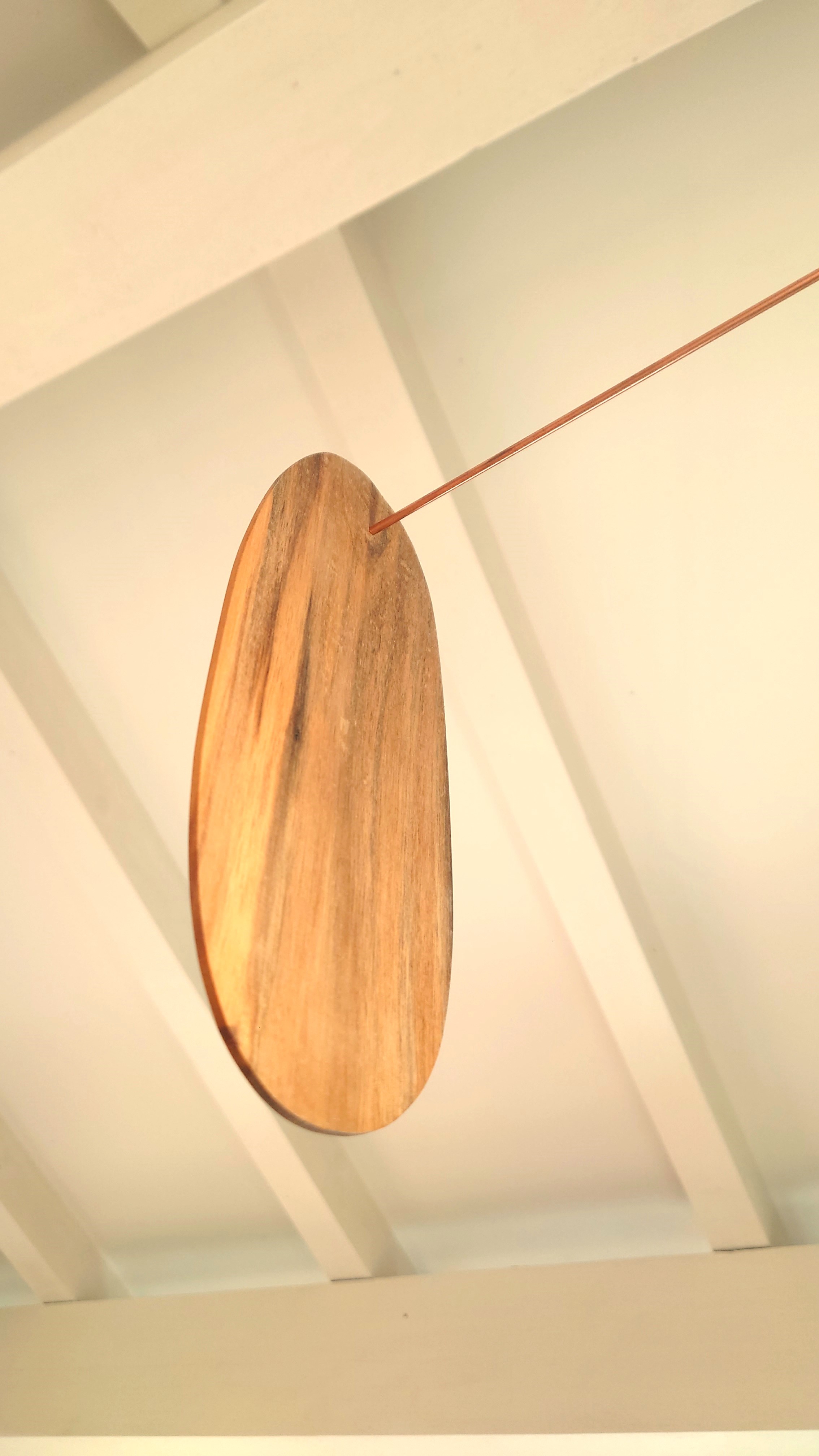 Atelier topobois-rabassoles-ovoide