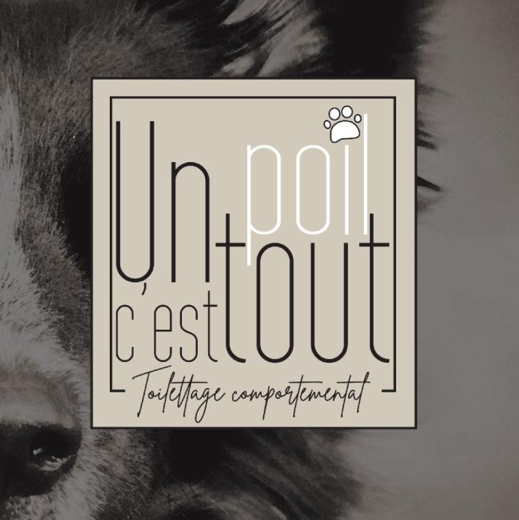 473765595 122099930552739832 6584712836753195241 n