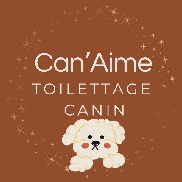 619224319 122094349395236450 7055905761968519915 n