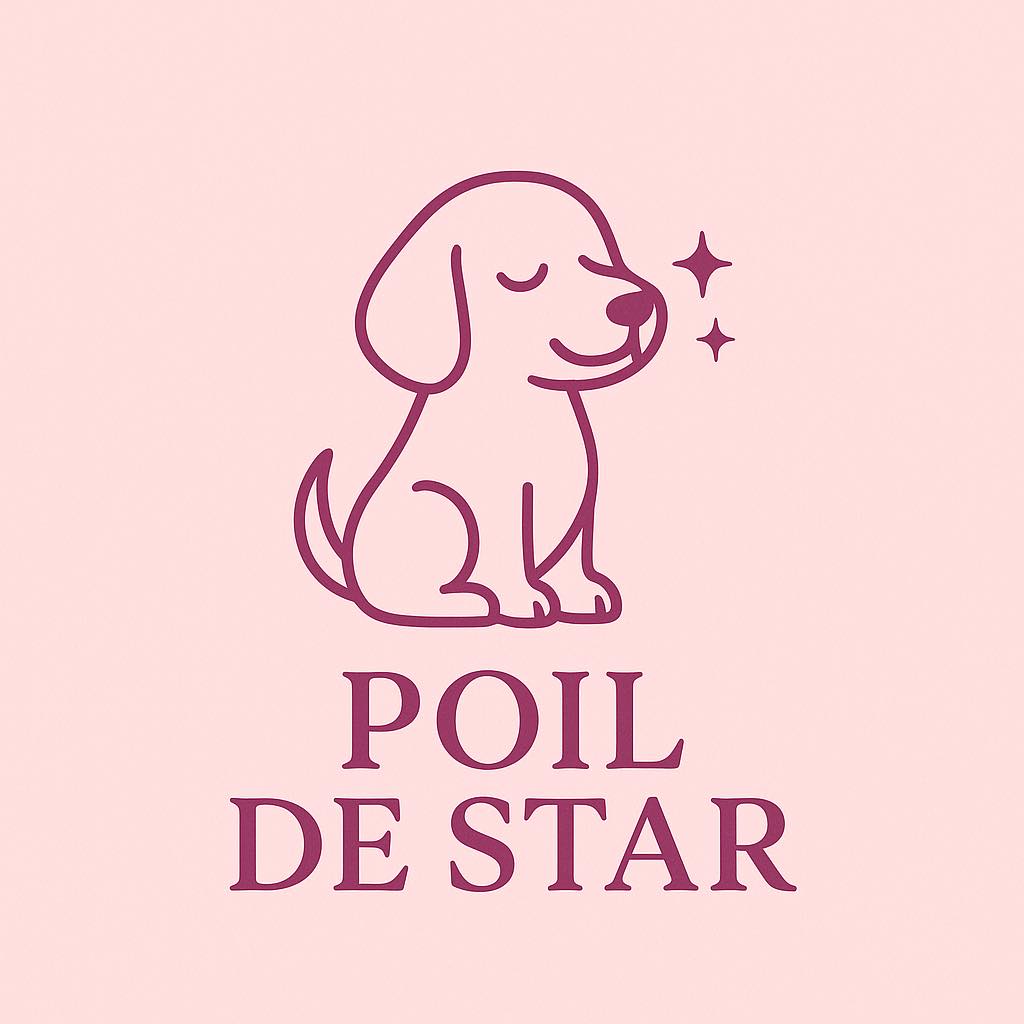 548724887 122100258501024975 6679755533659726984 n