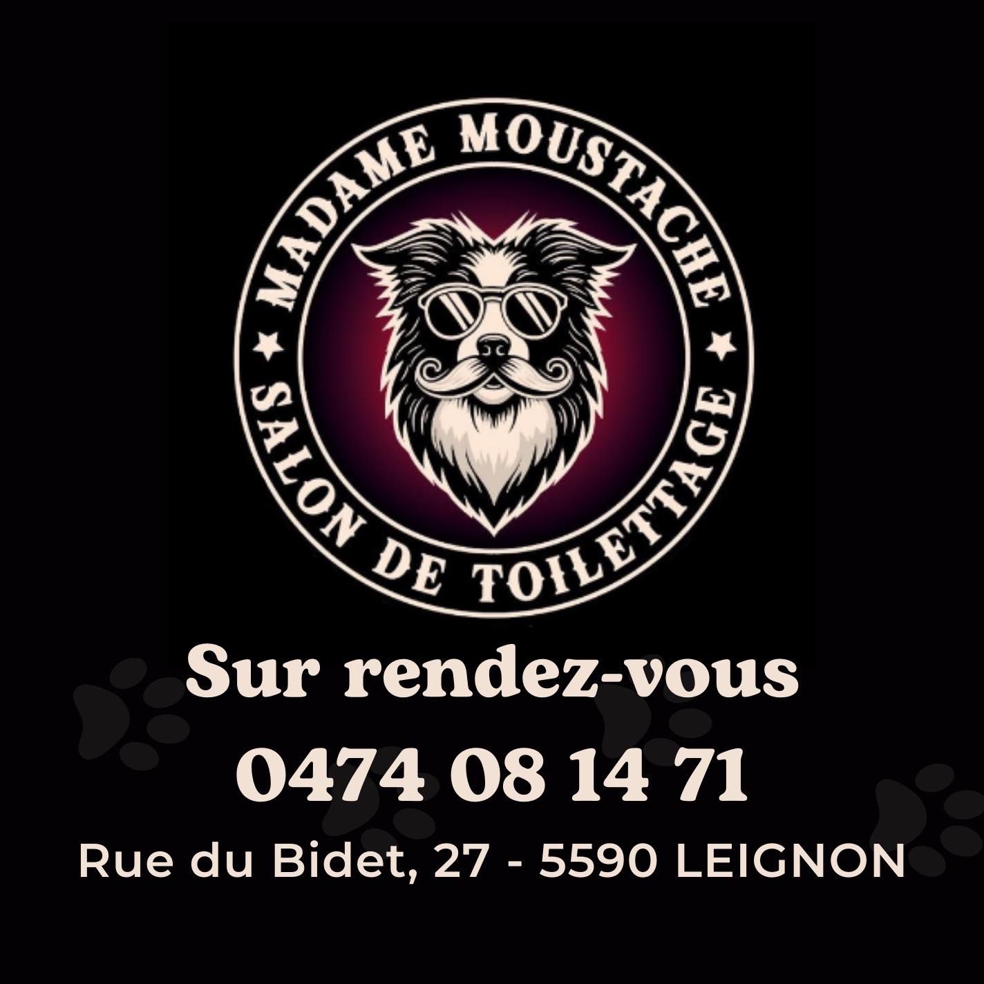 465645516 122112679520588536 1243134599629618327 n