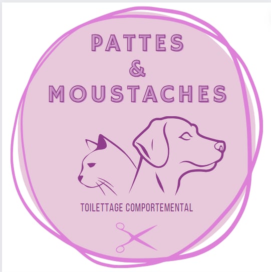 470520878 10234353601844102 7238301945526373984 n