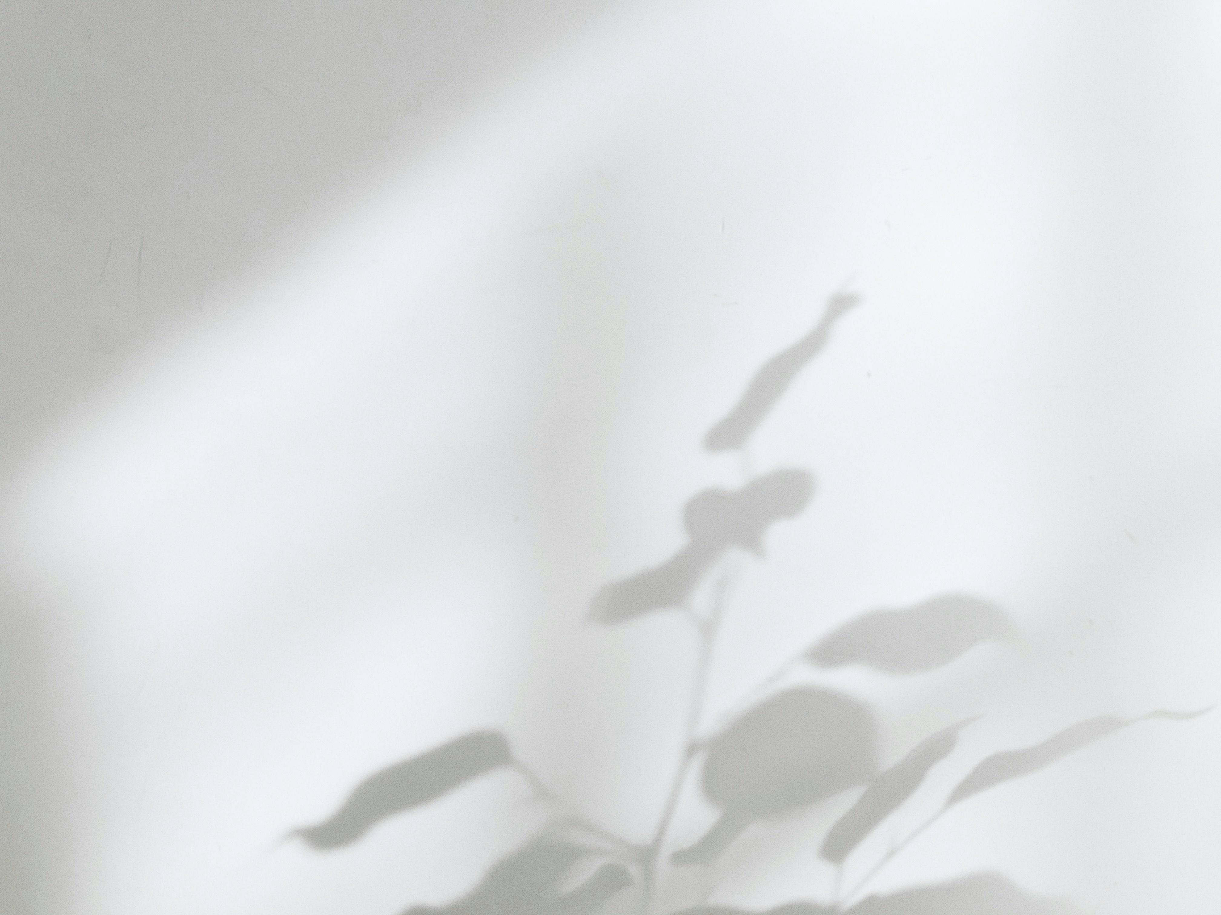 Milad-fakurian-pObeNNmVKrI-unsplash