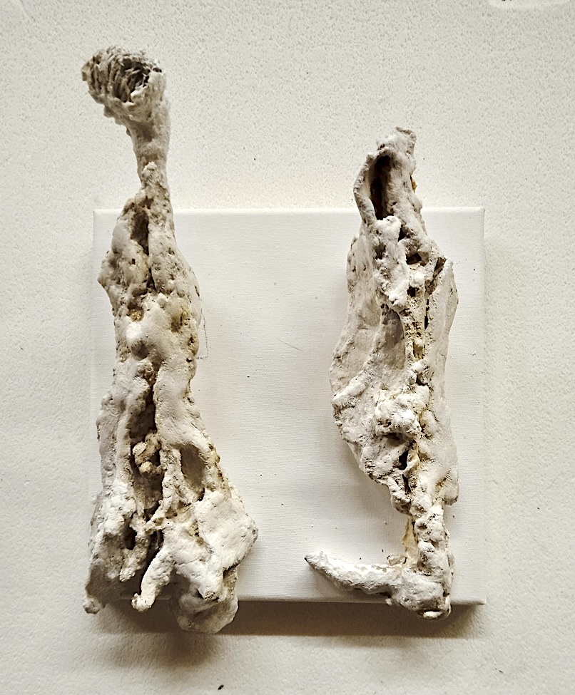 Acc5f48e ae2a 4b6a b4a5 4ab7440a117e 1 105 c