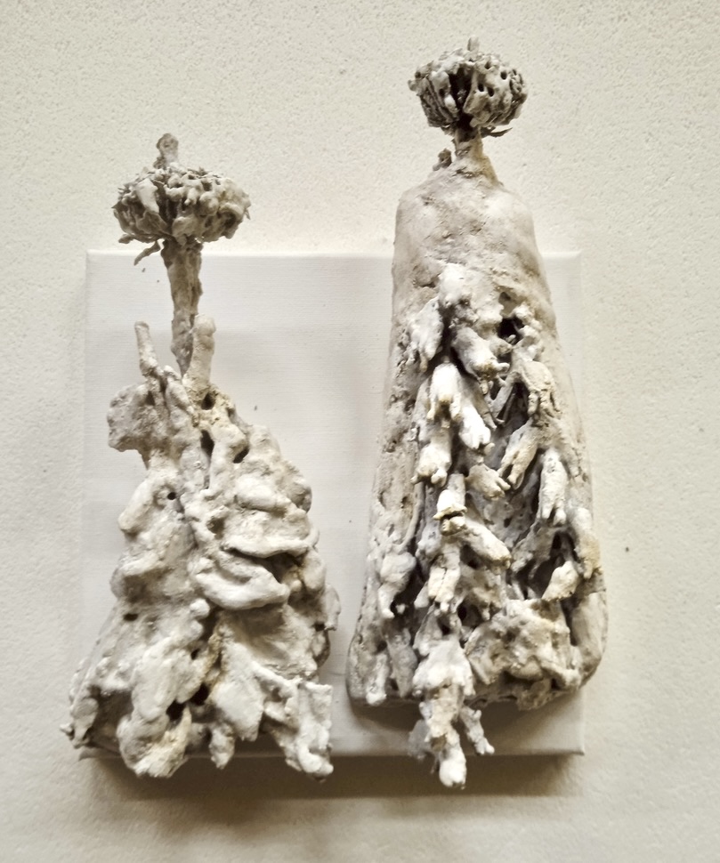 668355e6 ecb3 42ee 931f 6eda56c005a3 1 105 c