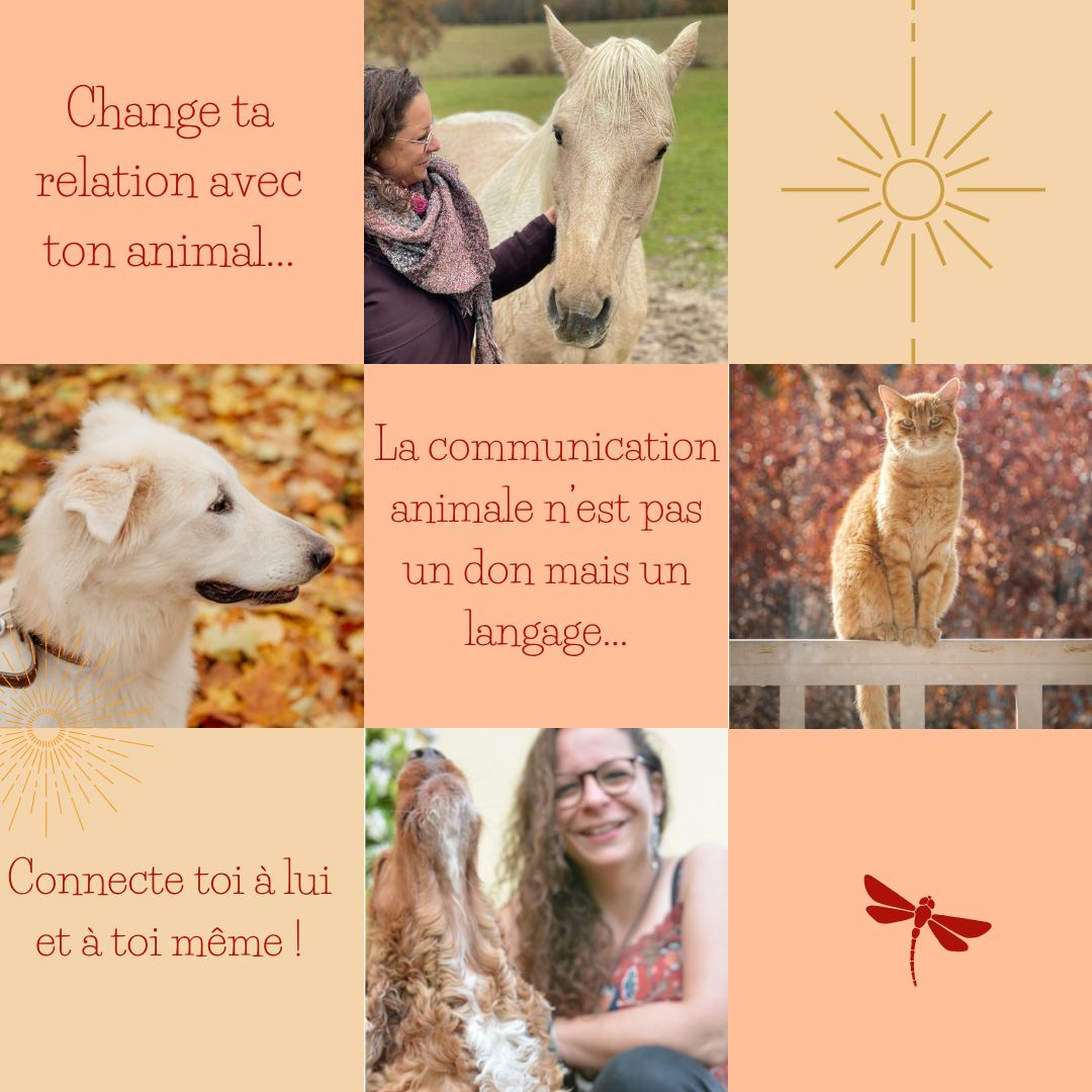 Publication-Instagram-Printemps-Moderne-Elegant-Marron-et-Beige-1-