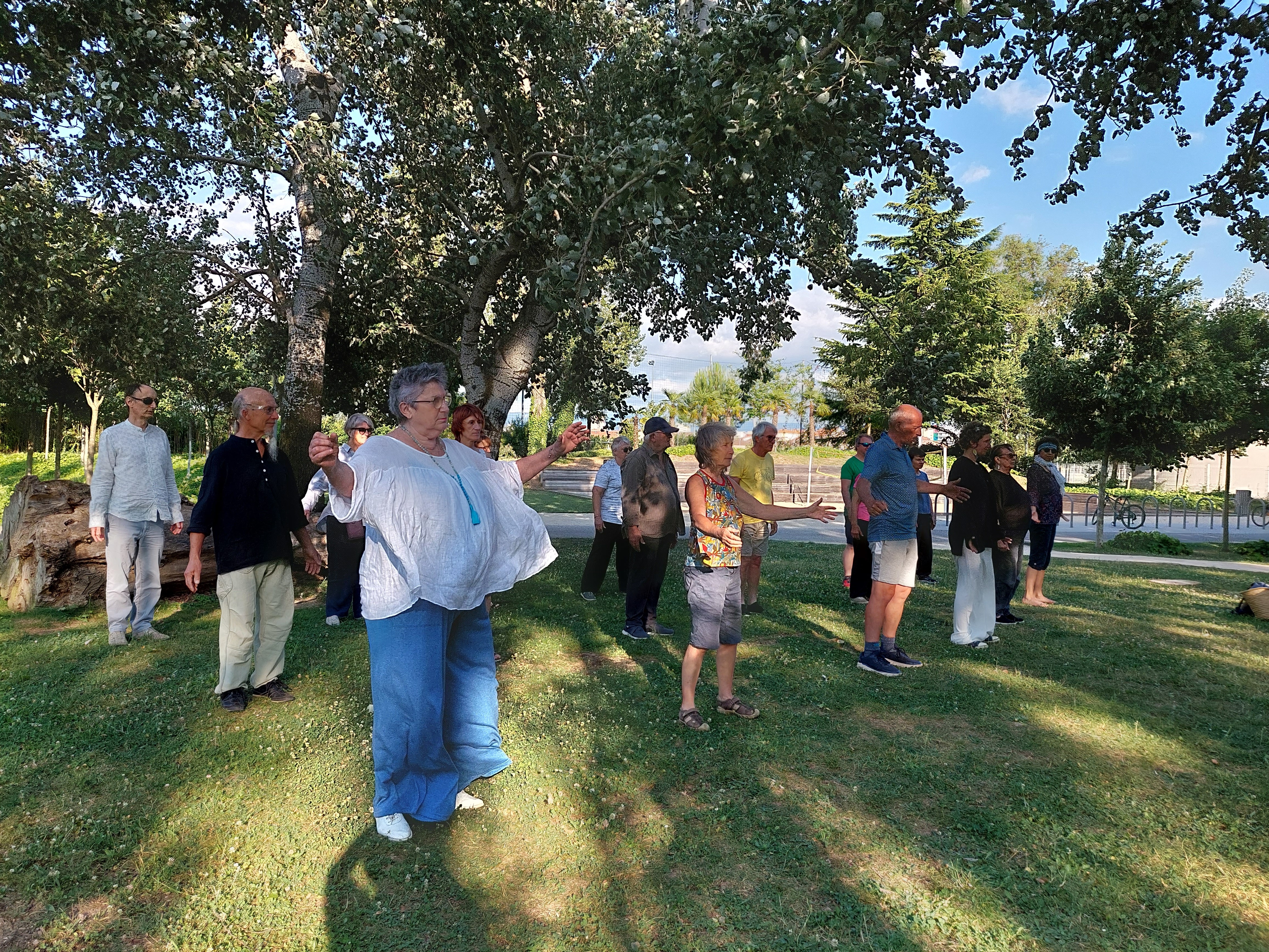 Bois de bambou Tai Chi lent