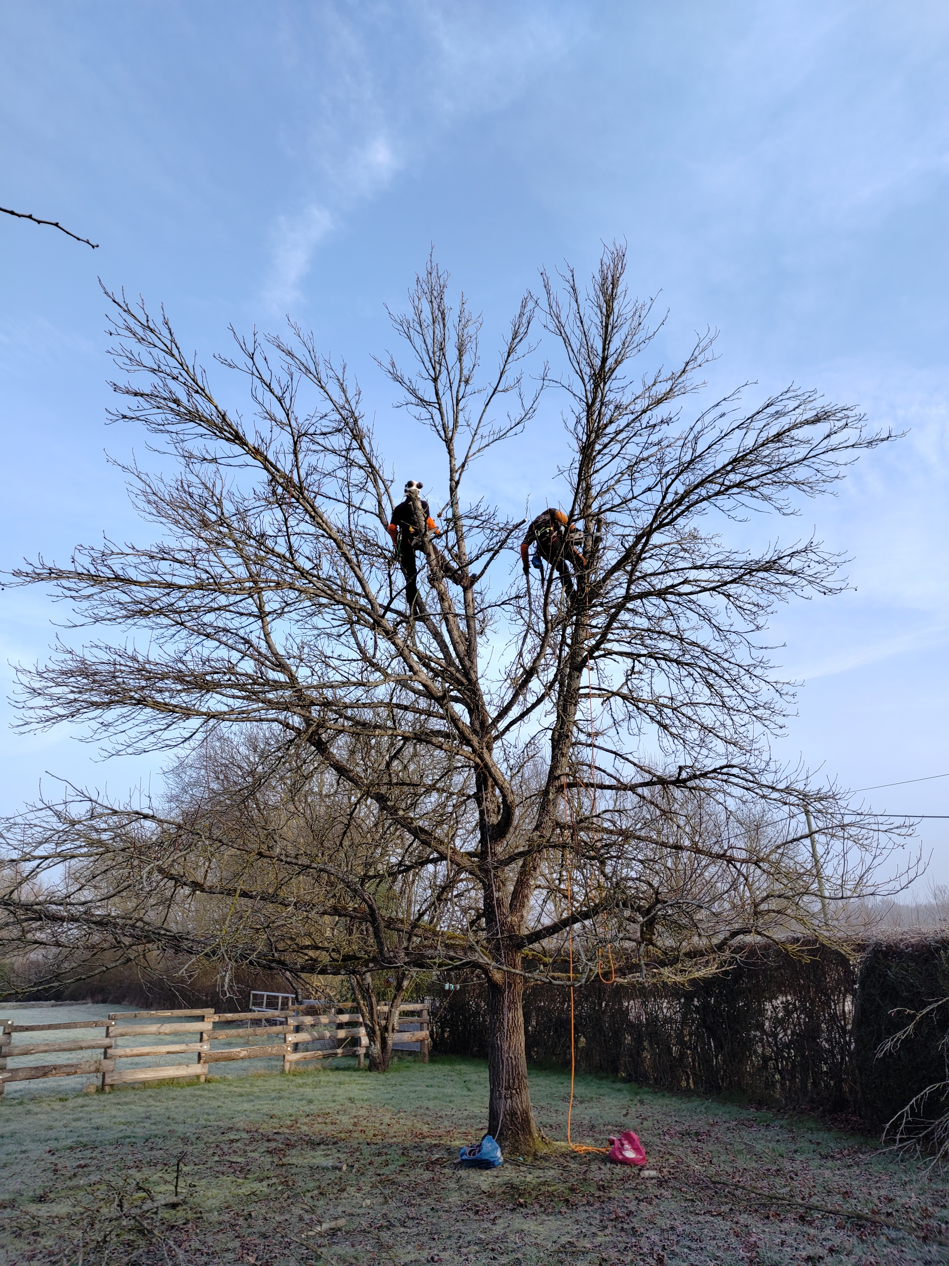 Img 20250217 092749099