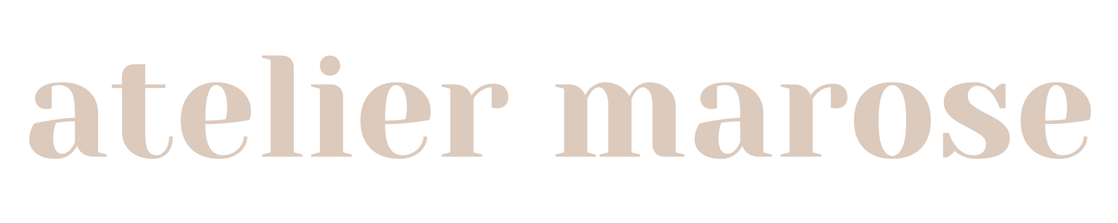 SHOPIFY LOGO 40 x 8 cm f6283e7e-1753-473e-84d1-4959dd42f3e0-png