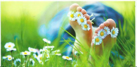 Apprenez à apaiser durablement votre stress avec nos ateliers thérapeutiques à Biganos et à Talence. Des outils concrets pour retrouver calme, sérénité et équilibre au quotidien.