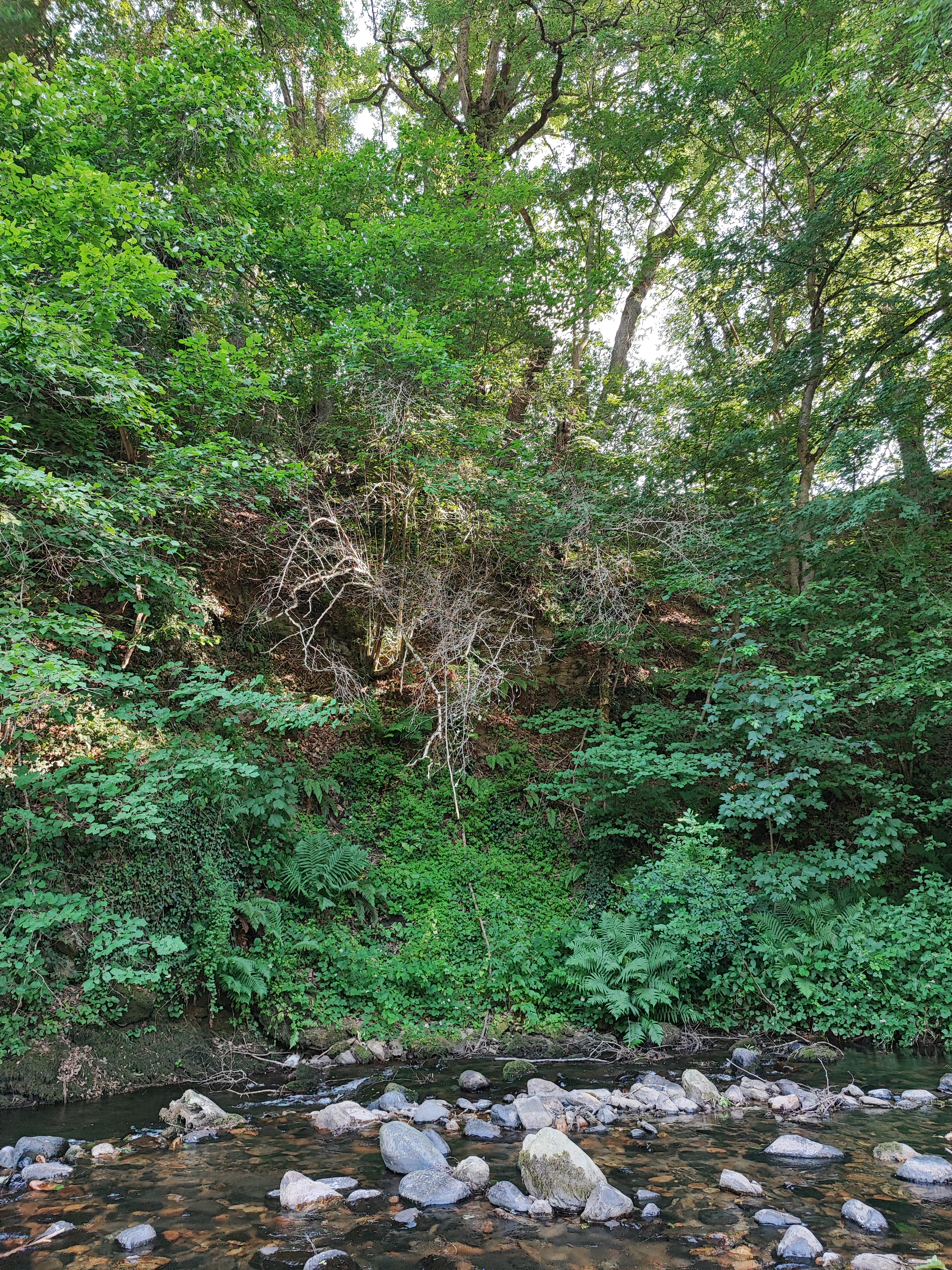 40434 bf22665d2a05bbec52a75dd399334a26 23 03 2026 00 44 48