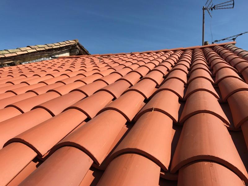 Whatsapp image 2026 03 16 at 15 44 13