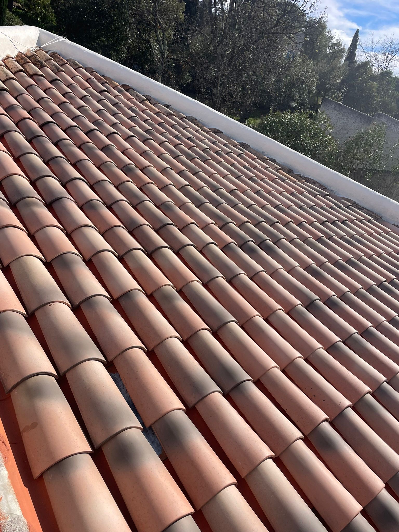 Whatsapp image 2026 03 16 at 15 46 17