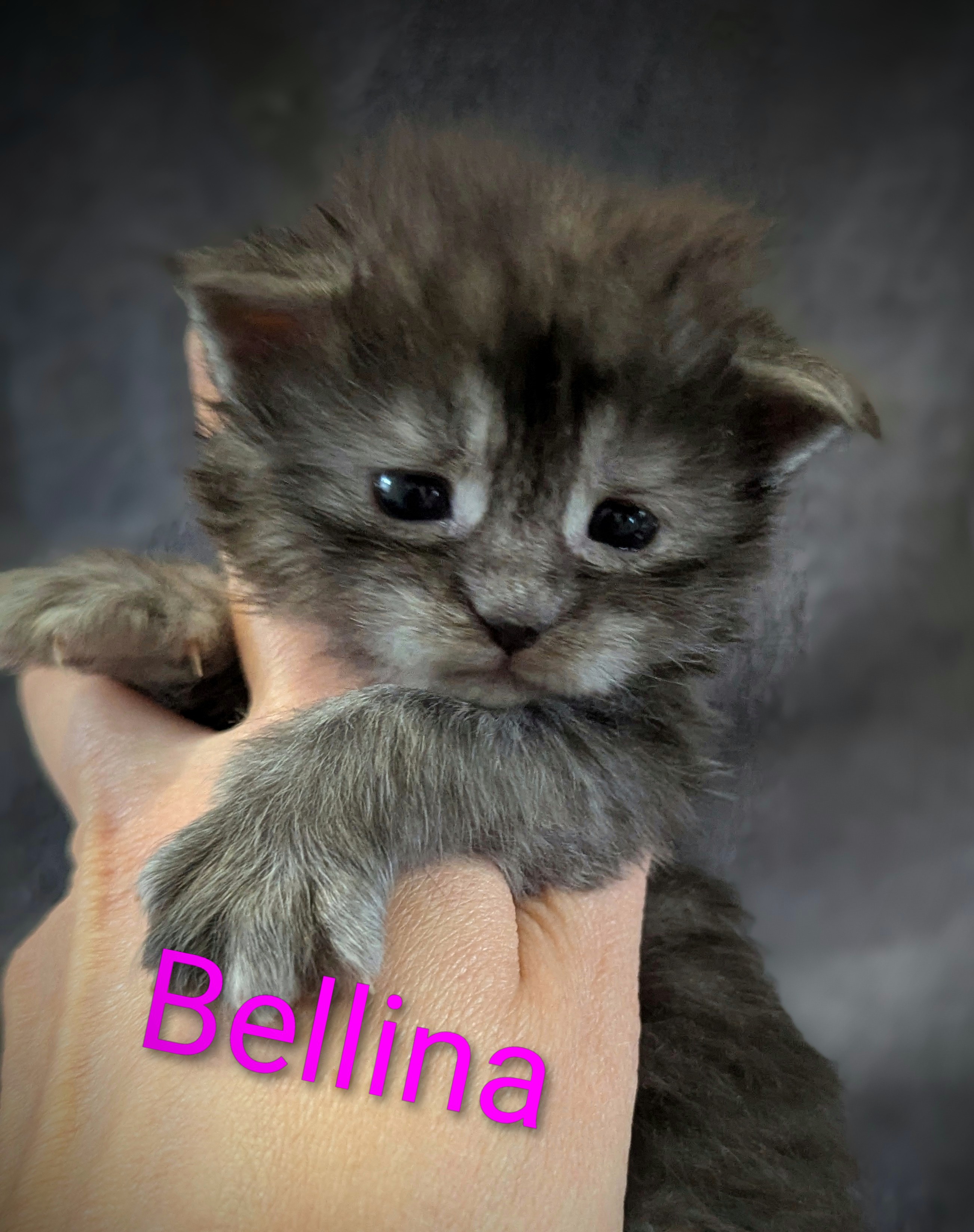 Pxl 20260328 143933973-portrait-2