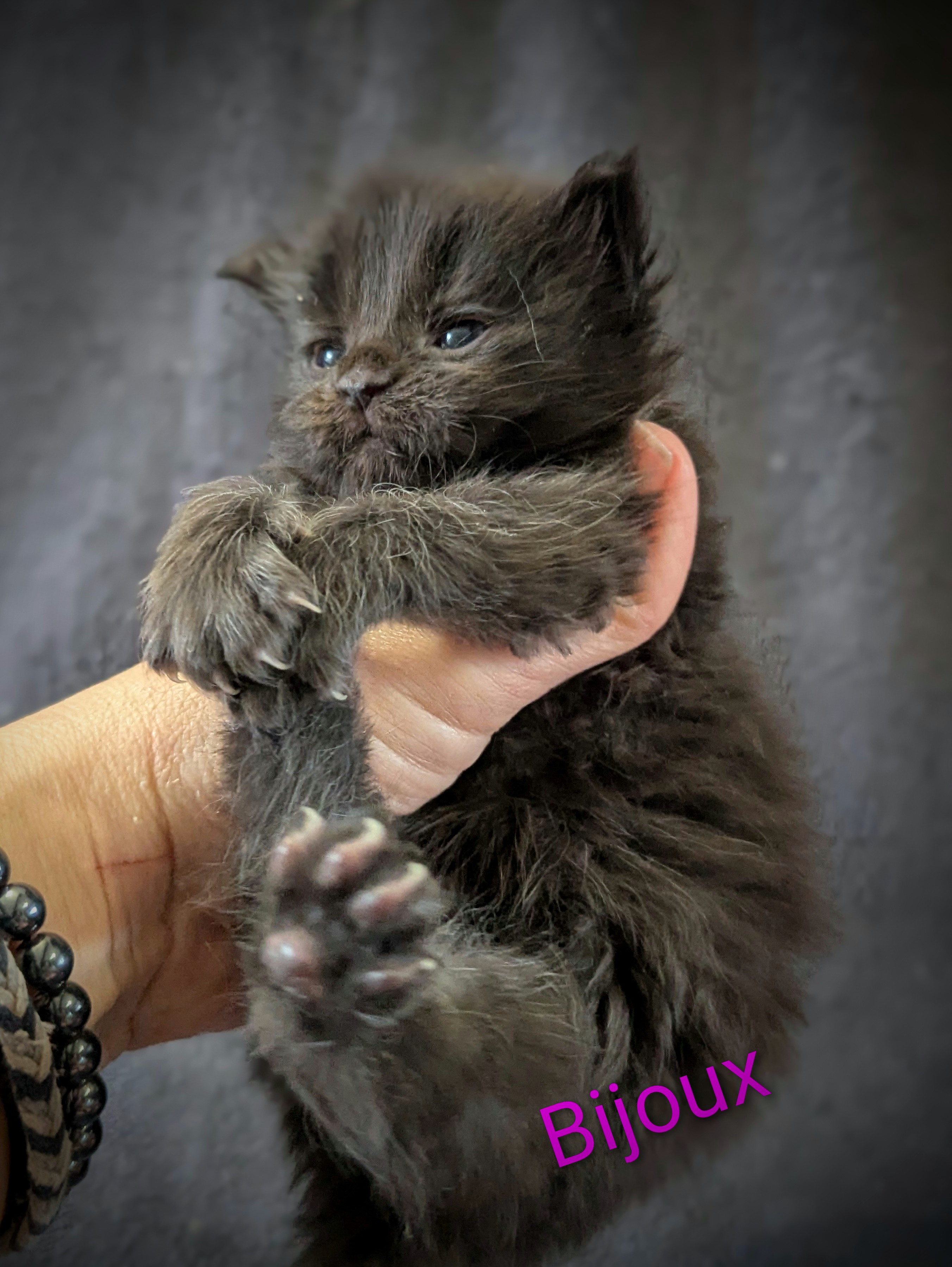 Pxl 20260328 141029056-portrait-2