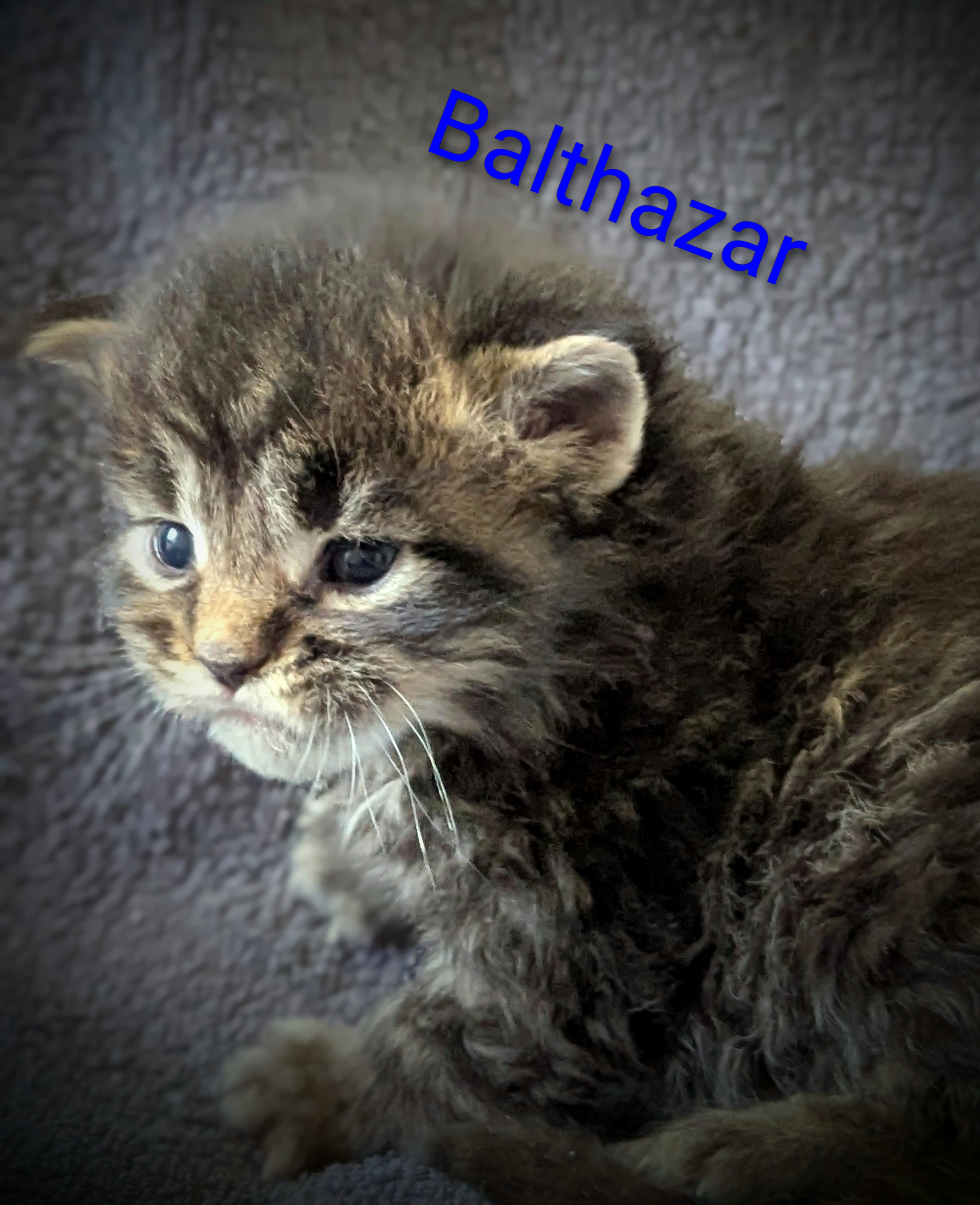 Pxl 20260328 123313444-portrait-3