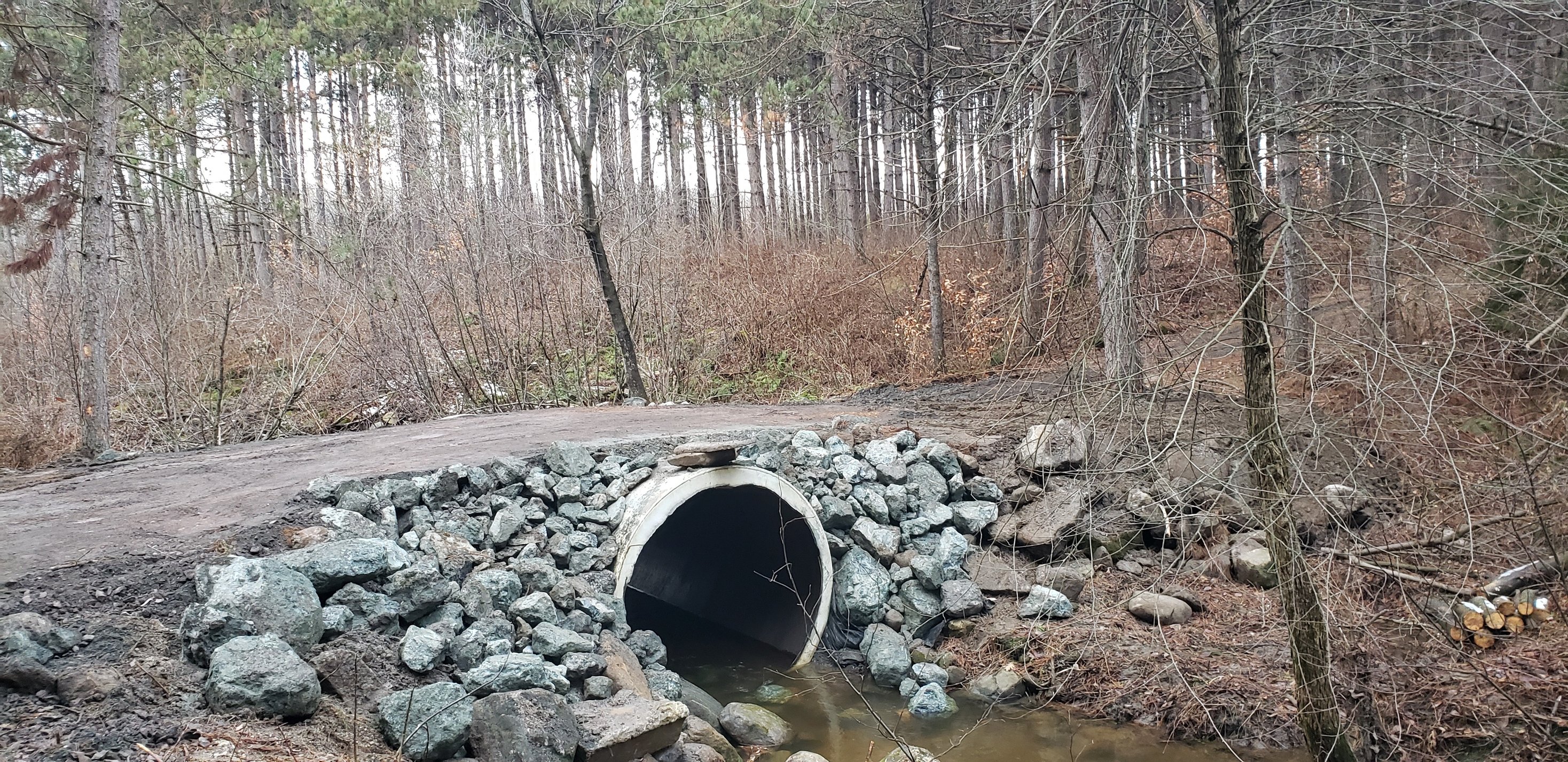 Excavation-comeau