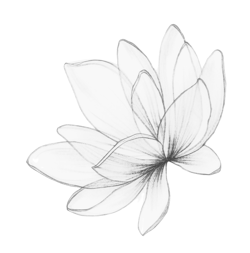 D42f9b54-5160-4c3f-9f21-f5d449422024