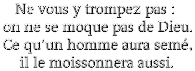 Ce qu'un homme aura semé, il le récoltera